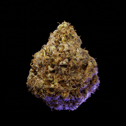 Golden Goat