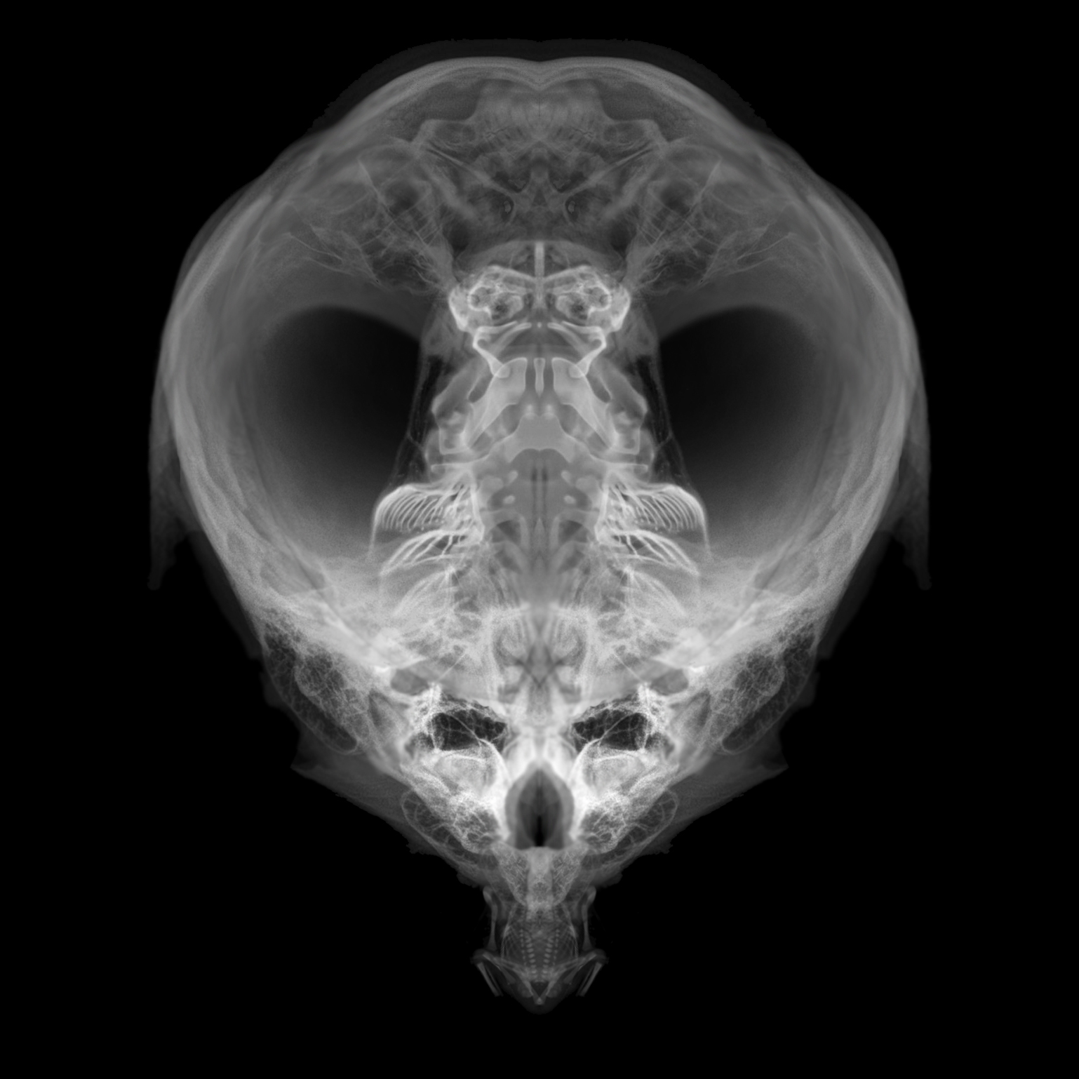 Alien Embryo - 255 of 2000