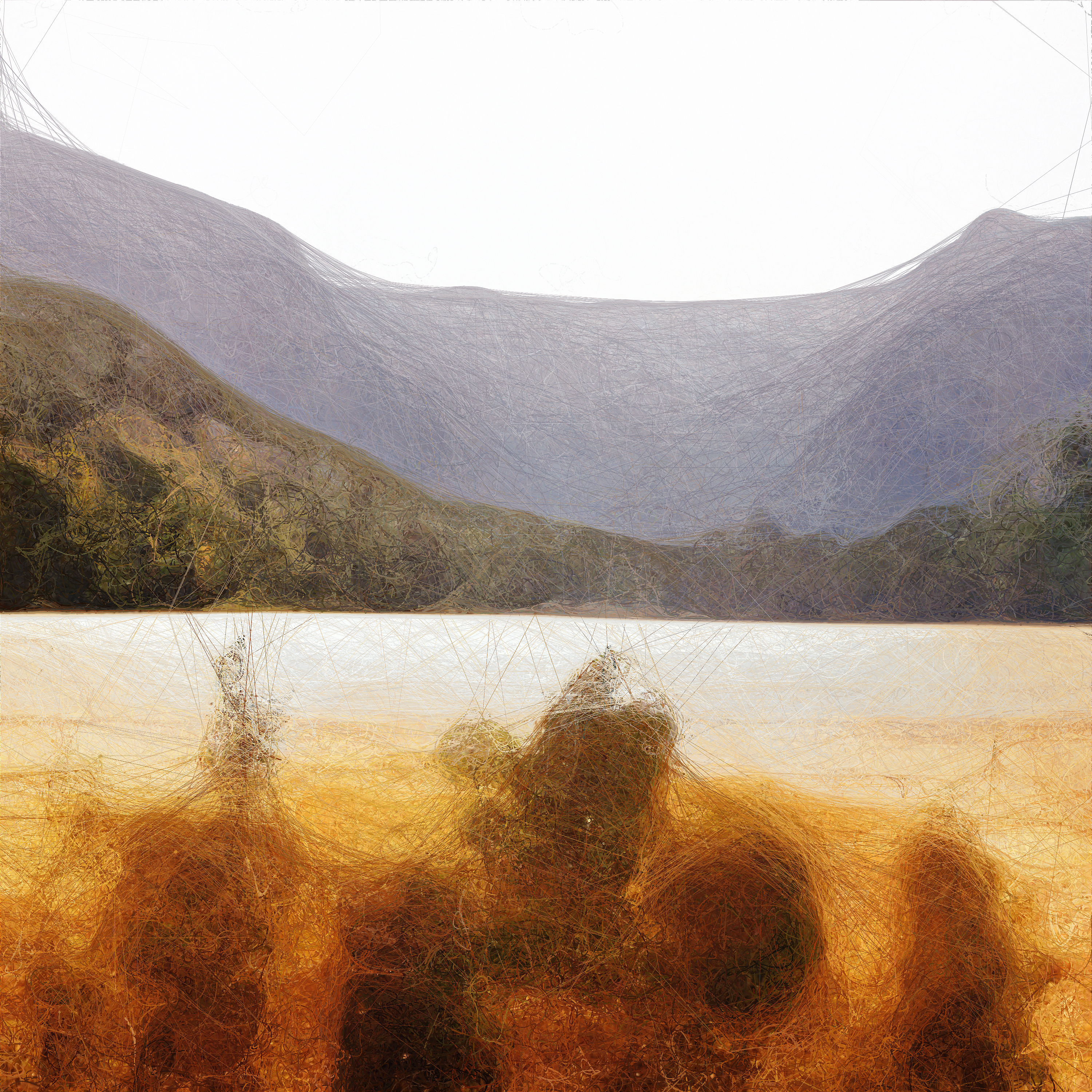 Landscapes — 01001110011111100010001010010101001000101111110110000