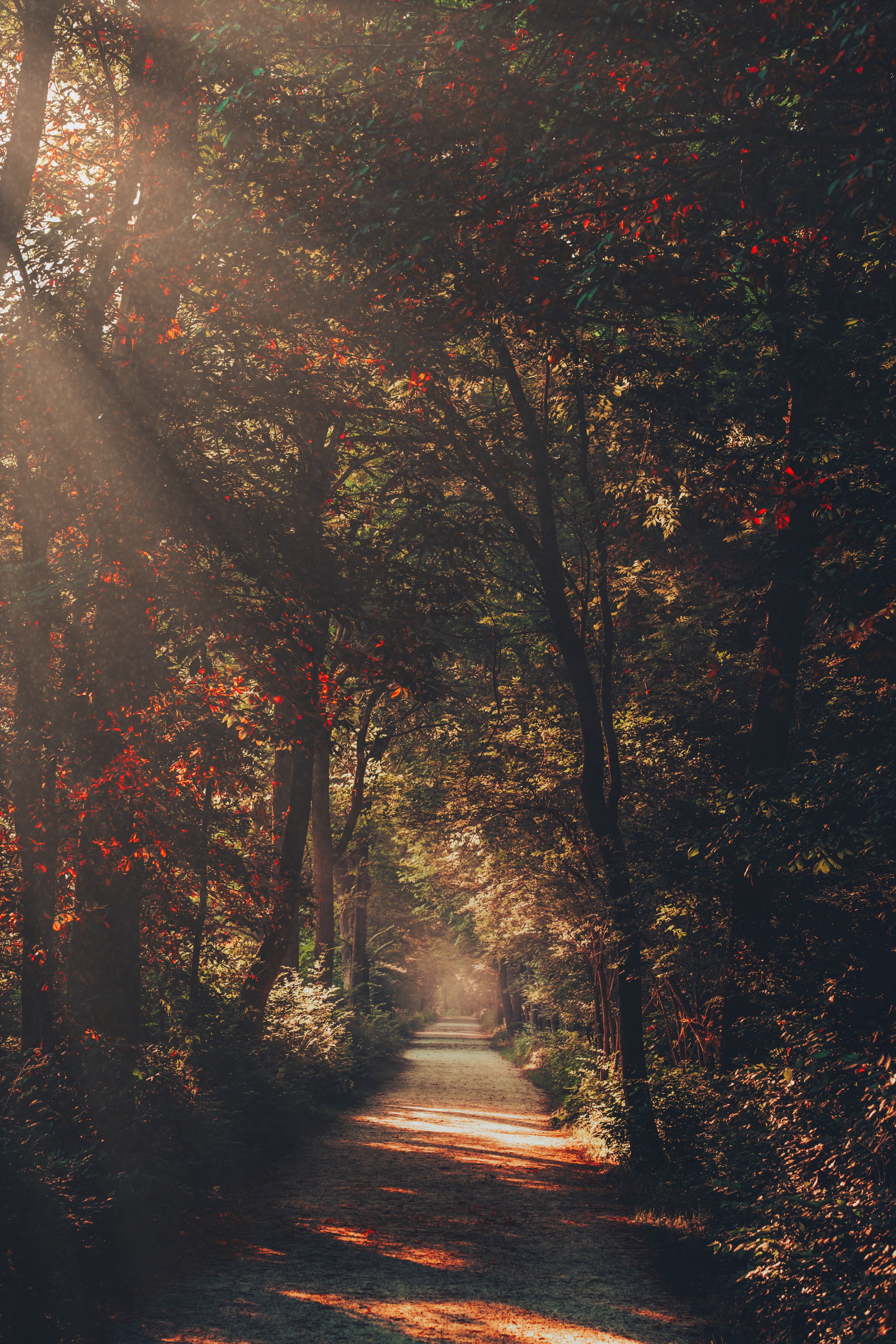 Seasonal #22