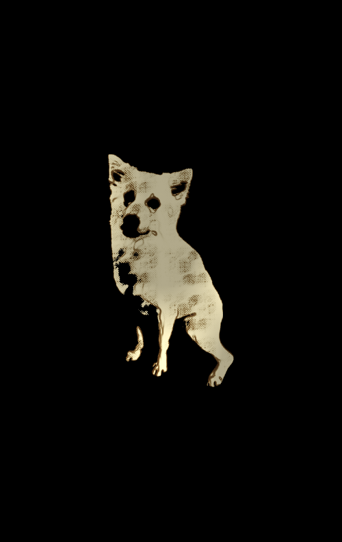 Awesome Dog