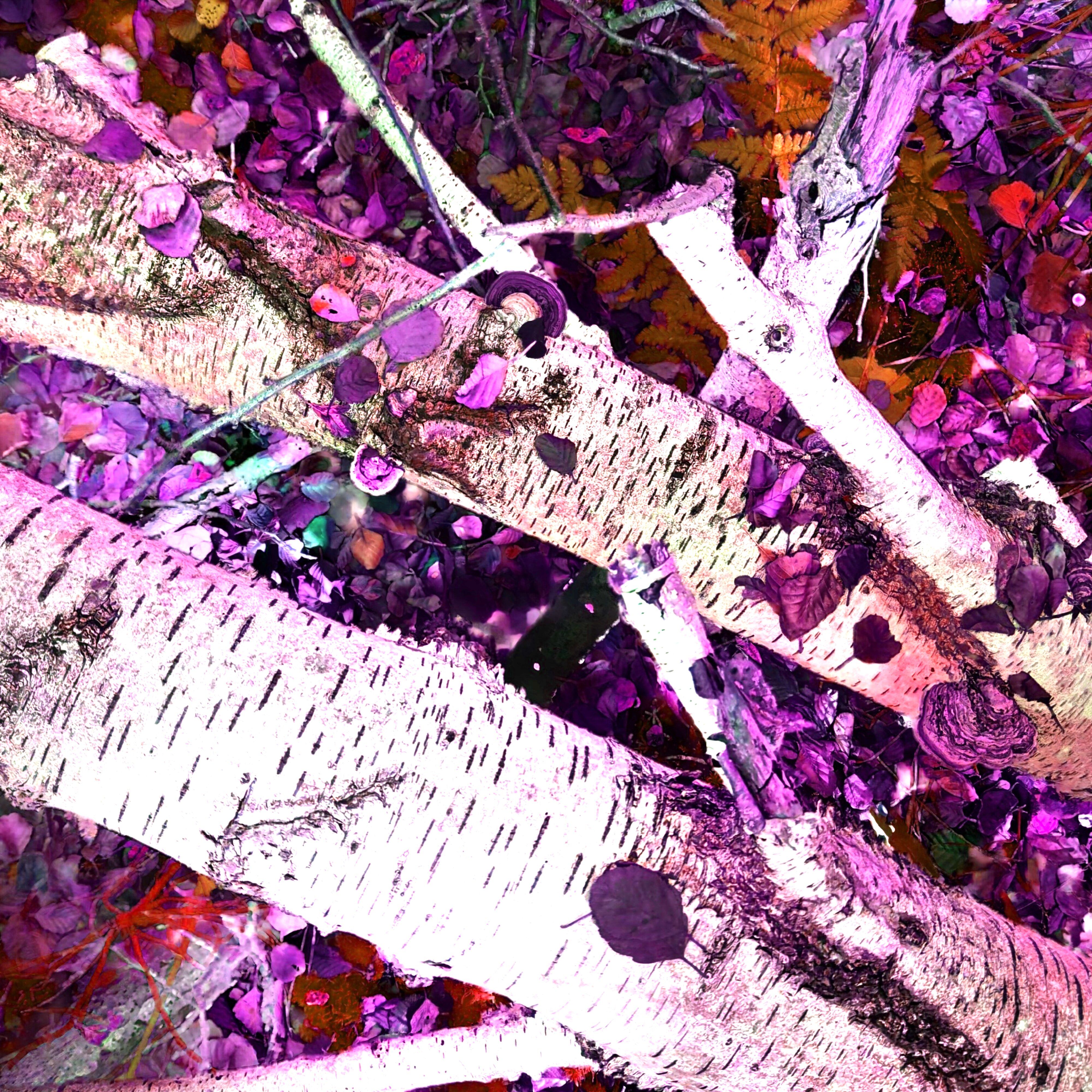 Plot u329hvjex