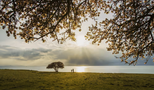 #landscape2  Hand in hand with nature 