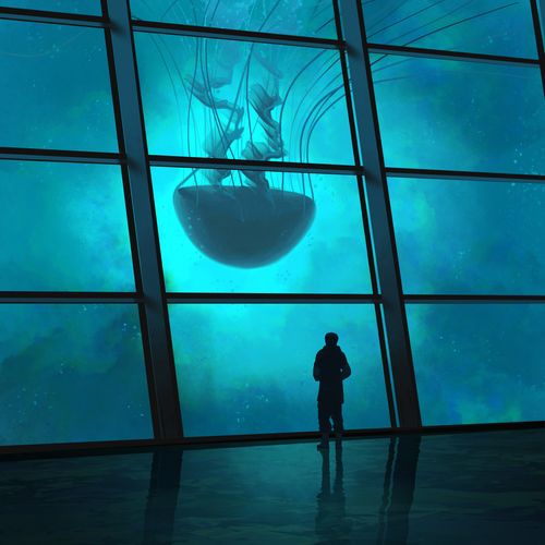 Looking For Knowledge 05
