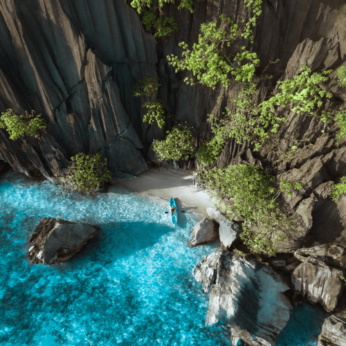 Tropical Escape