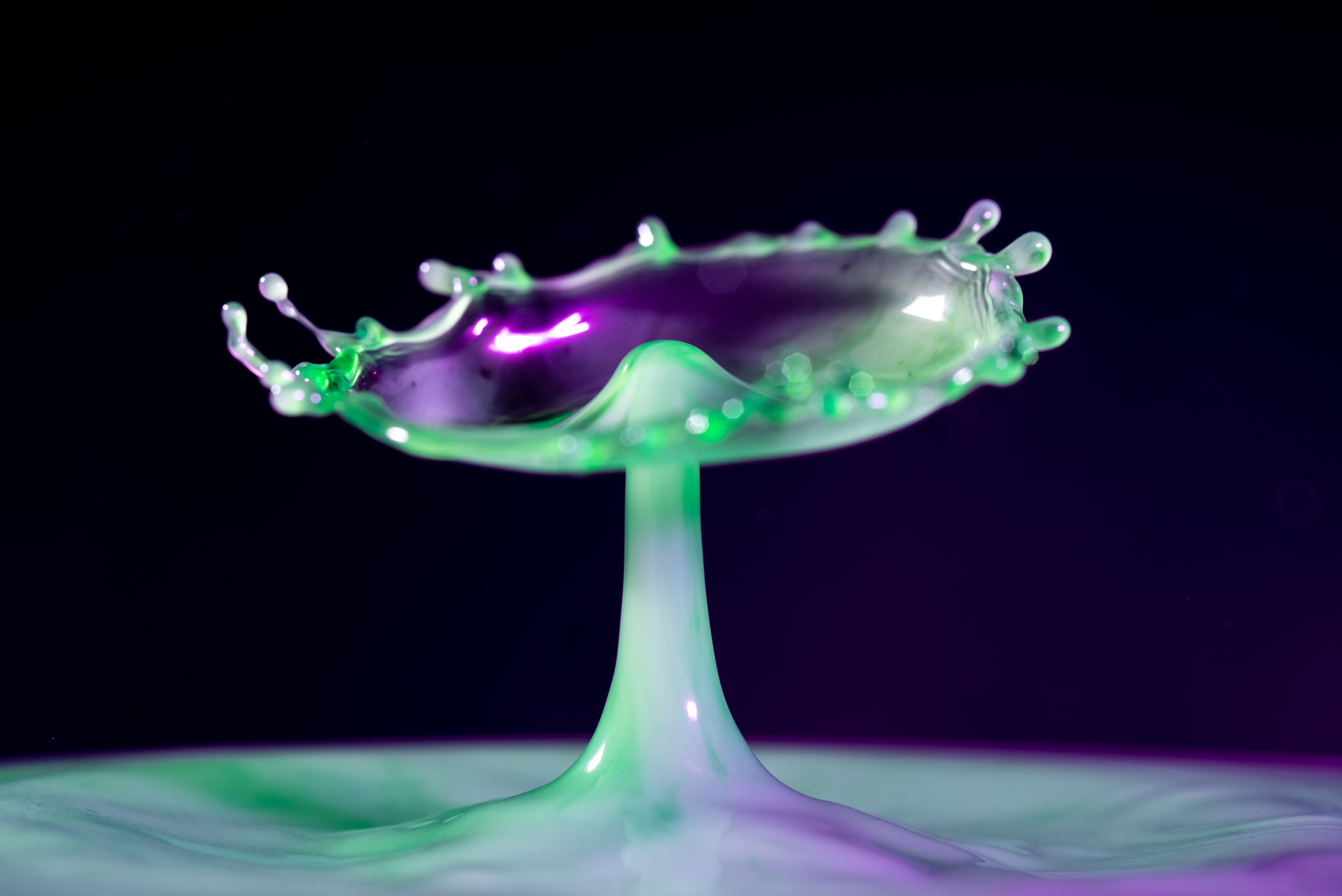 Splash of Community #1