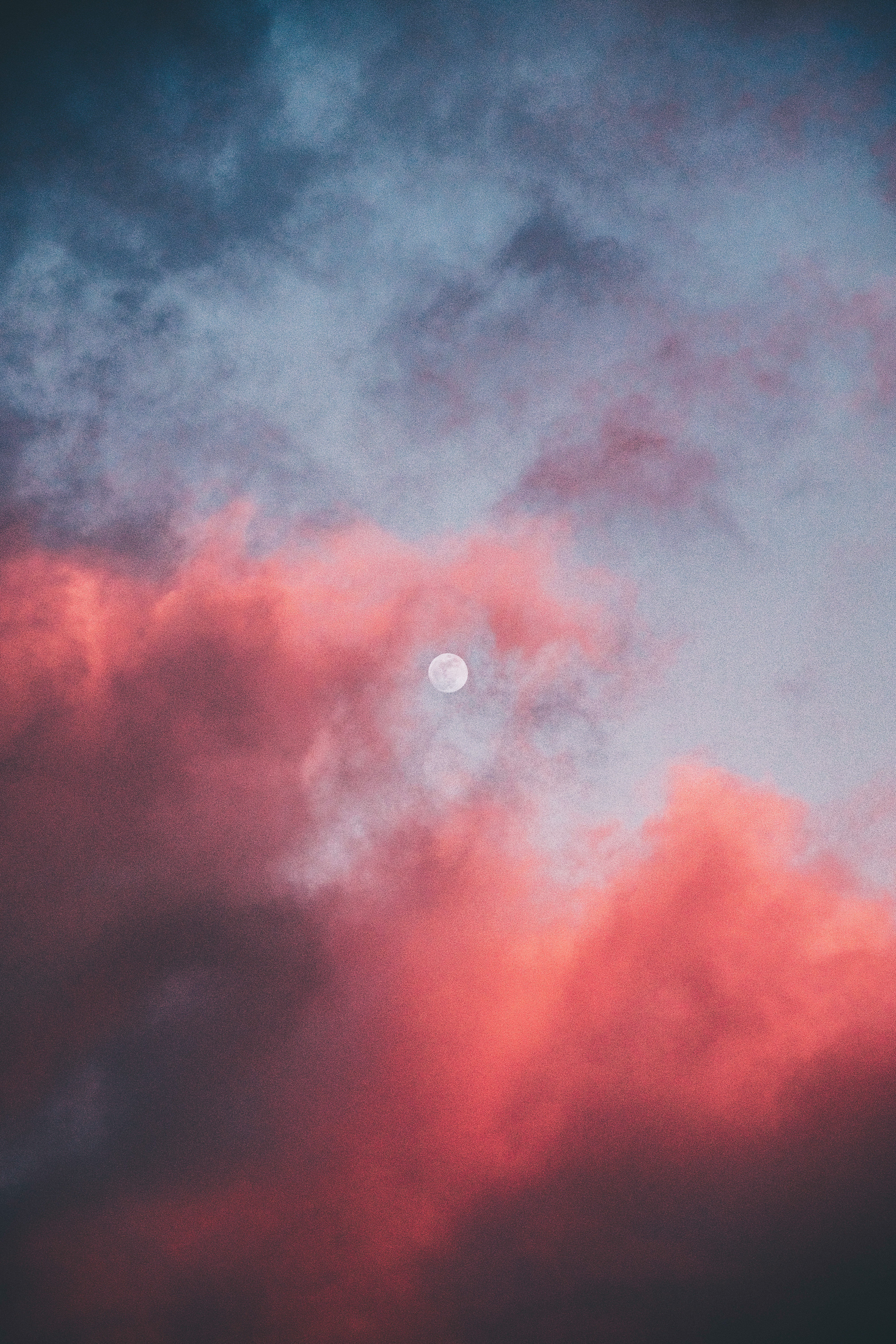 Seasonal #02