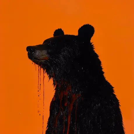 bear #1044