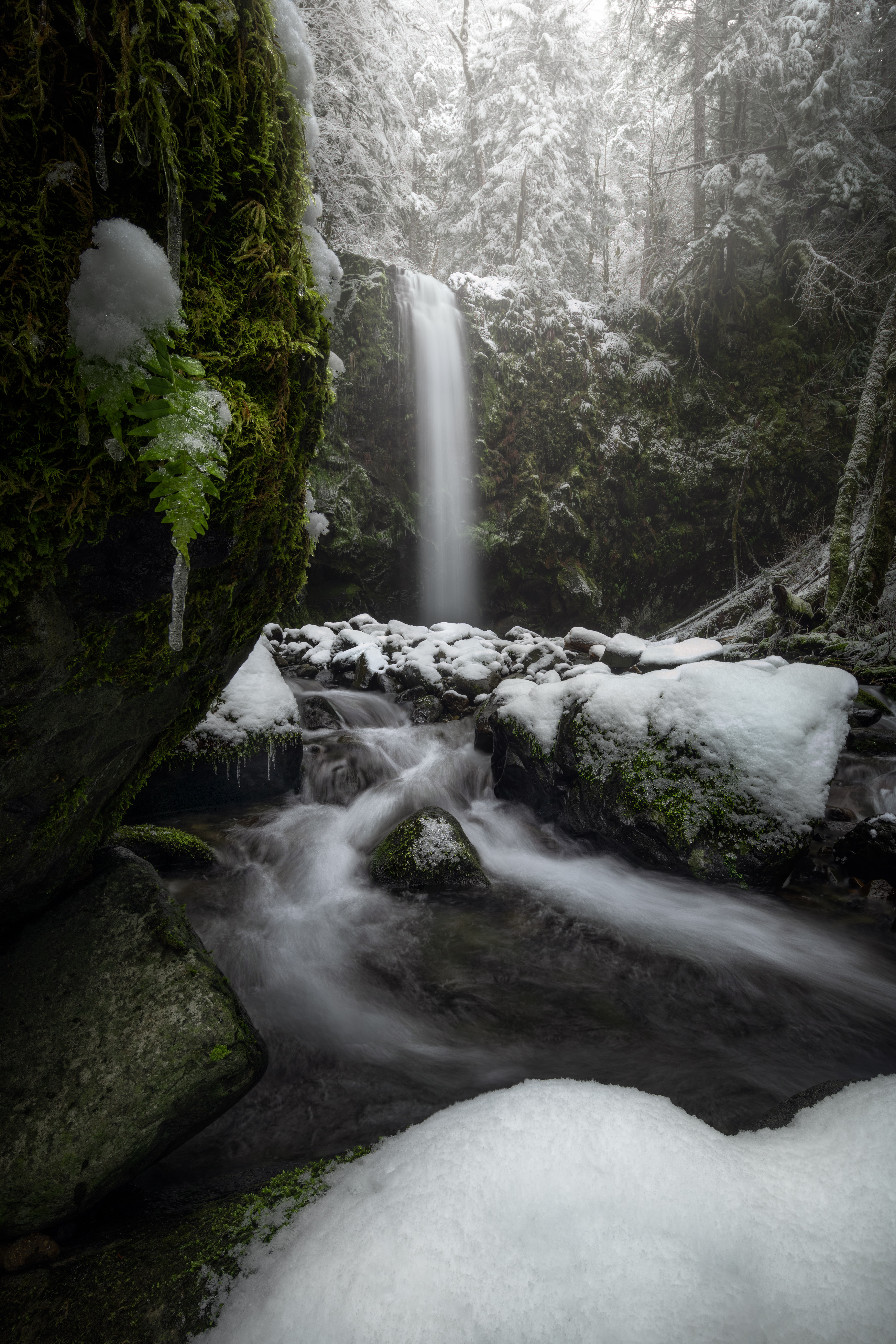 The Great Pause | Negative Ions