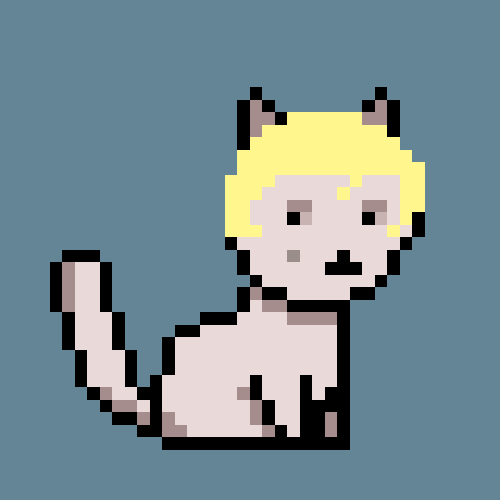 PunkCat #7777