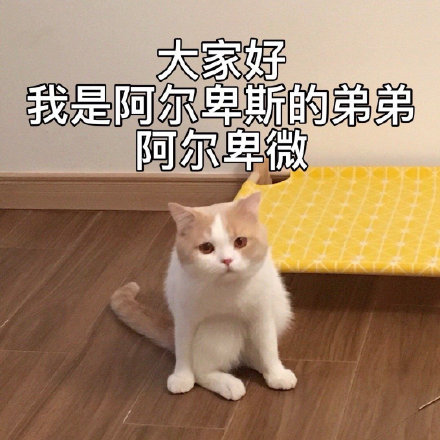 sss7