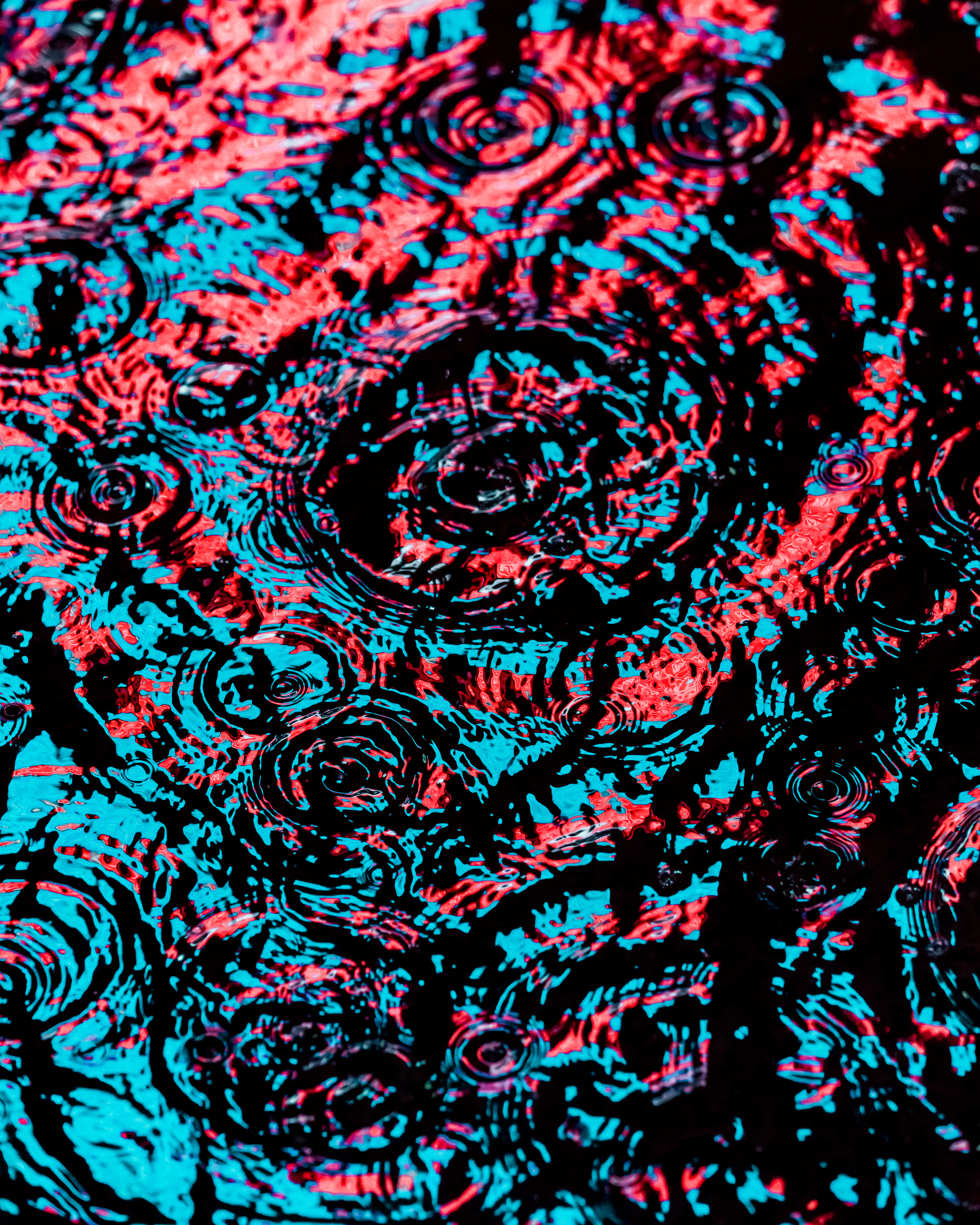 DRIP #428