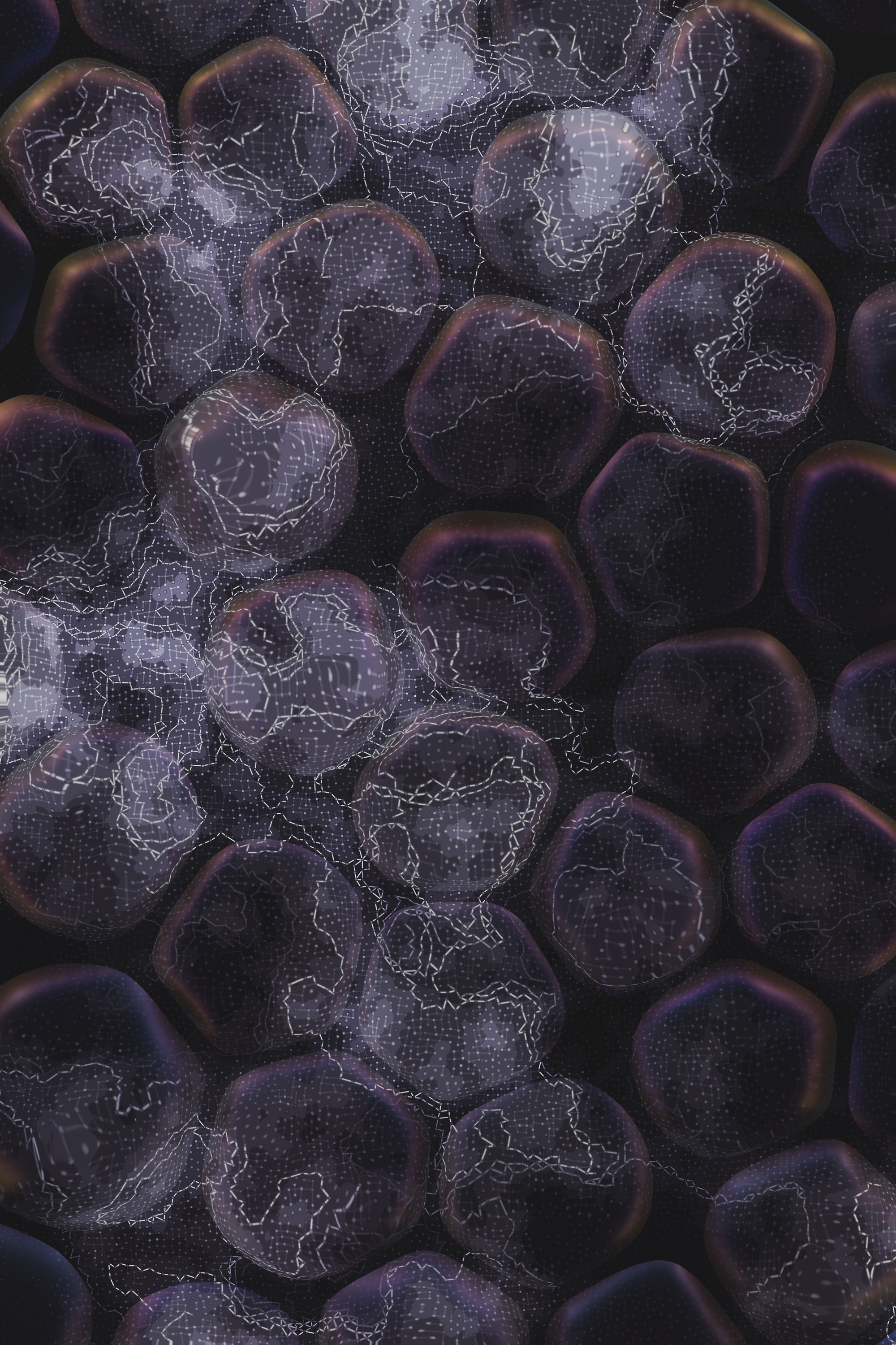 Vitreous #18