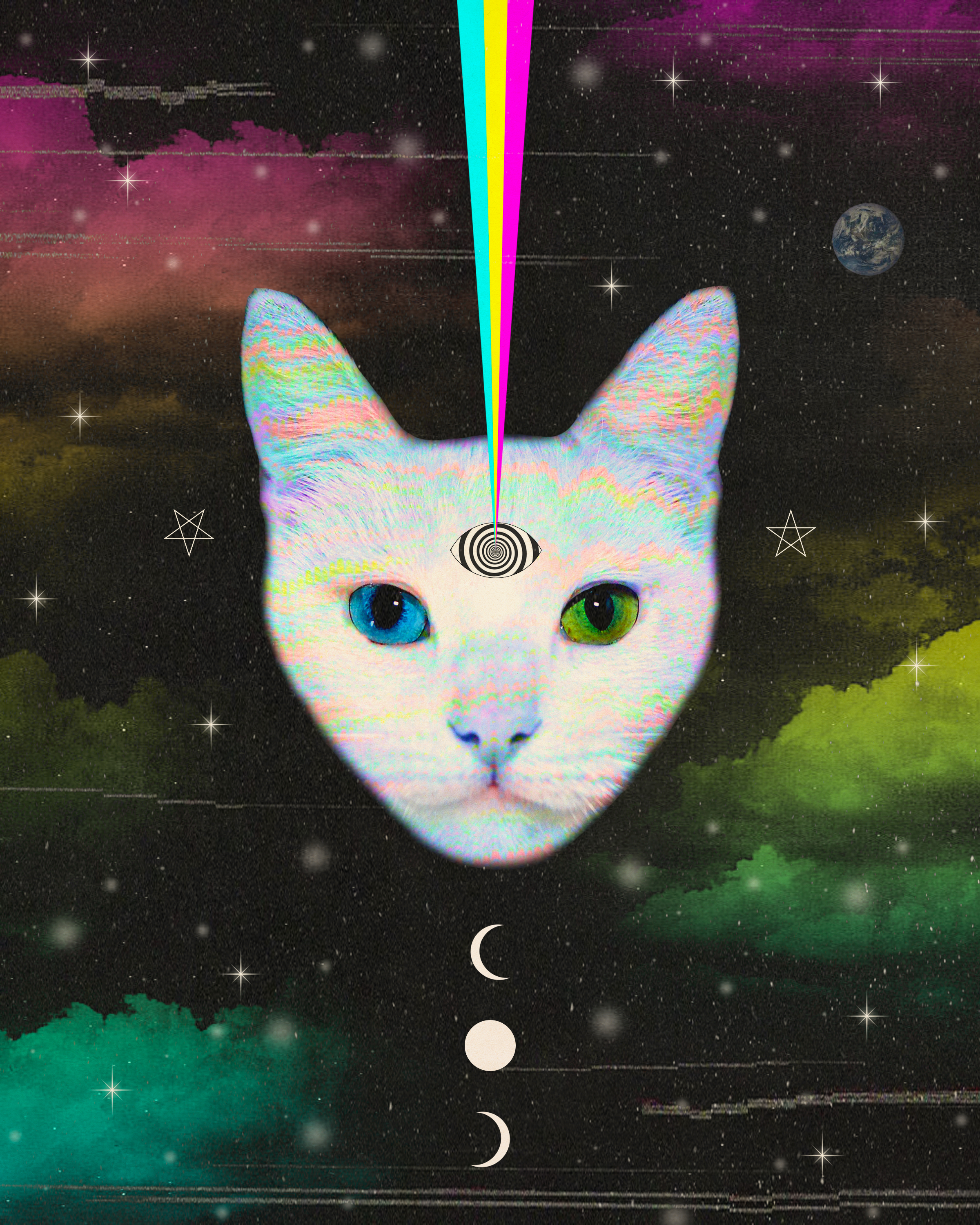 Good Fortune Feline