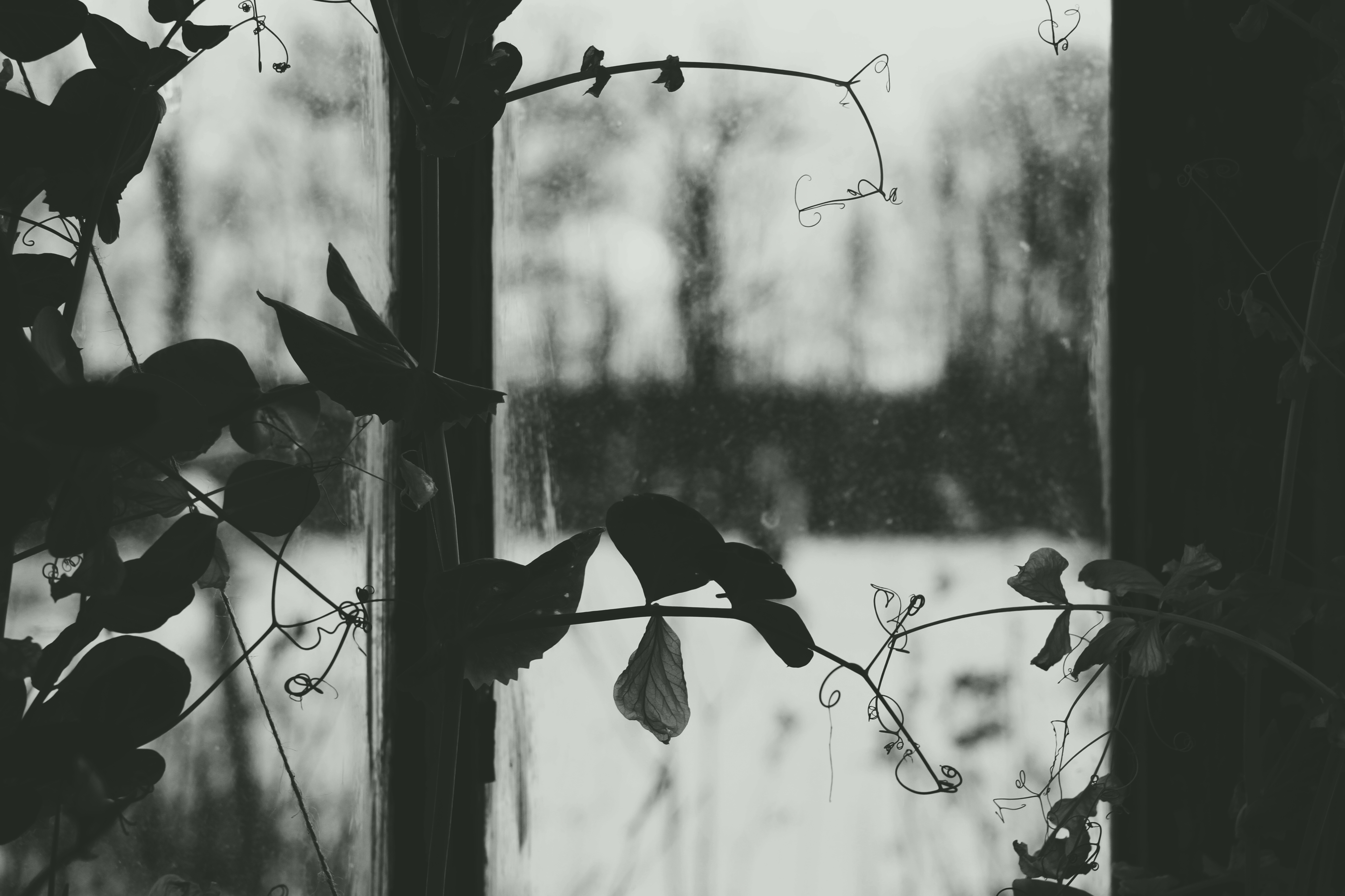 _care