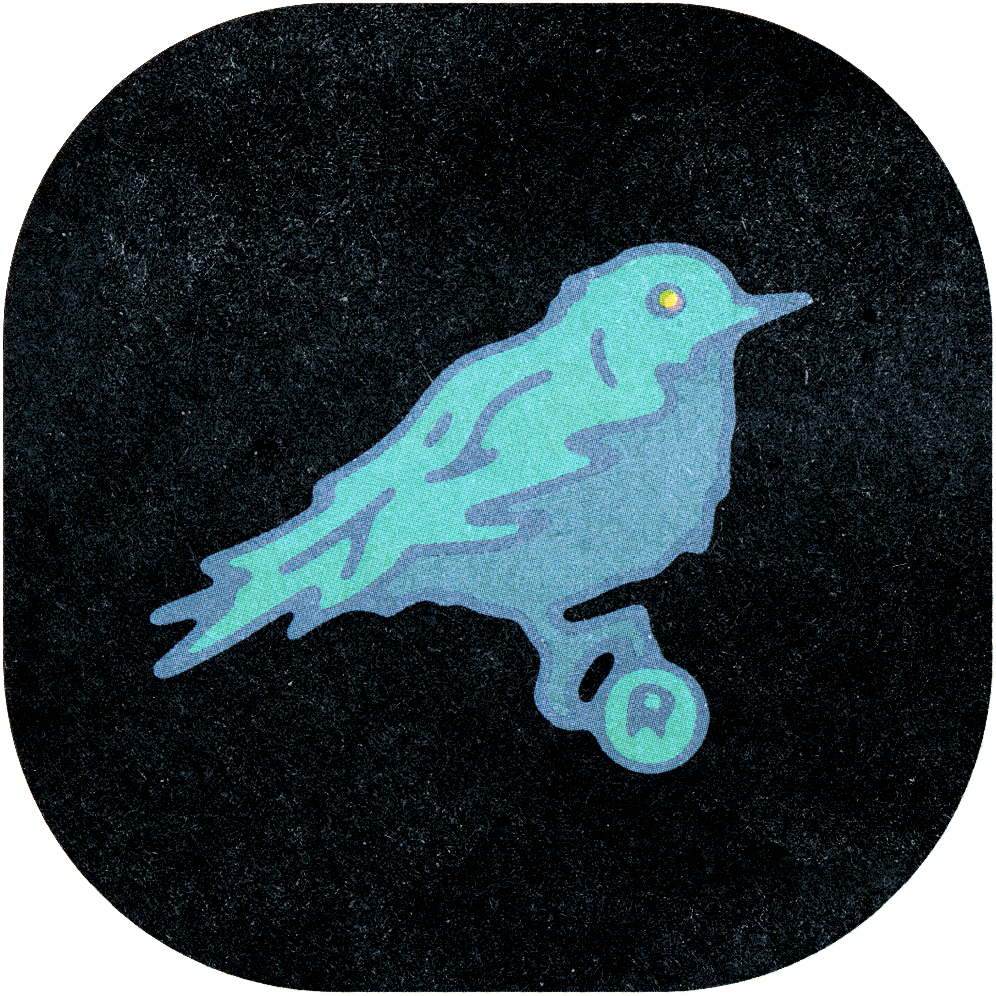 BLUEBIRD 024