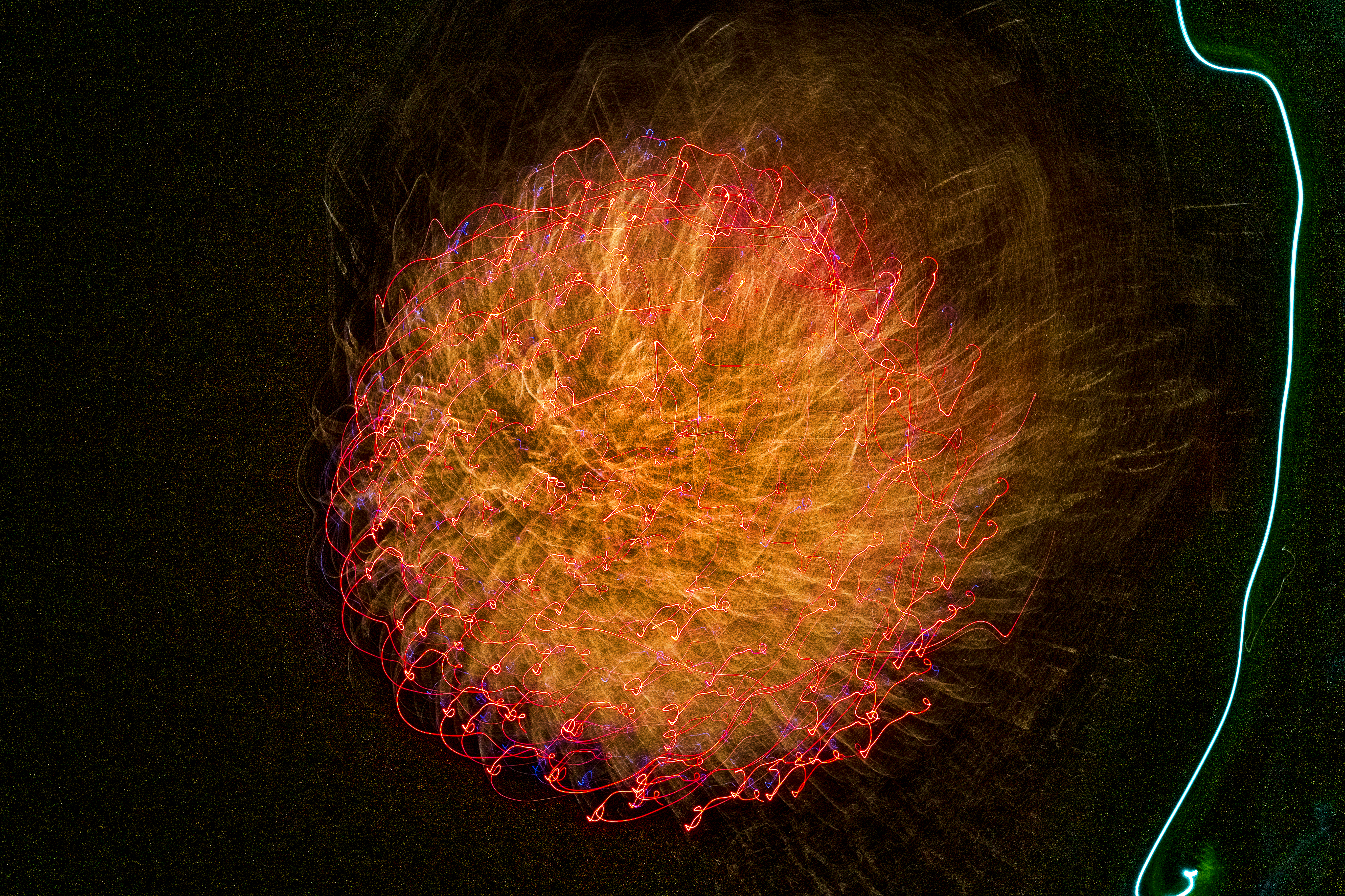 L1180818
