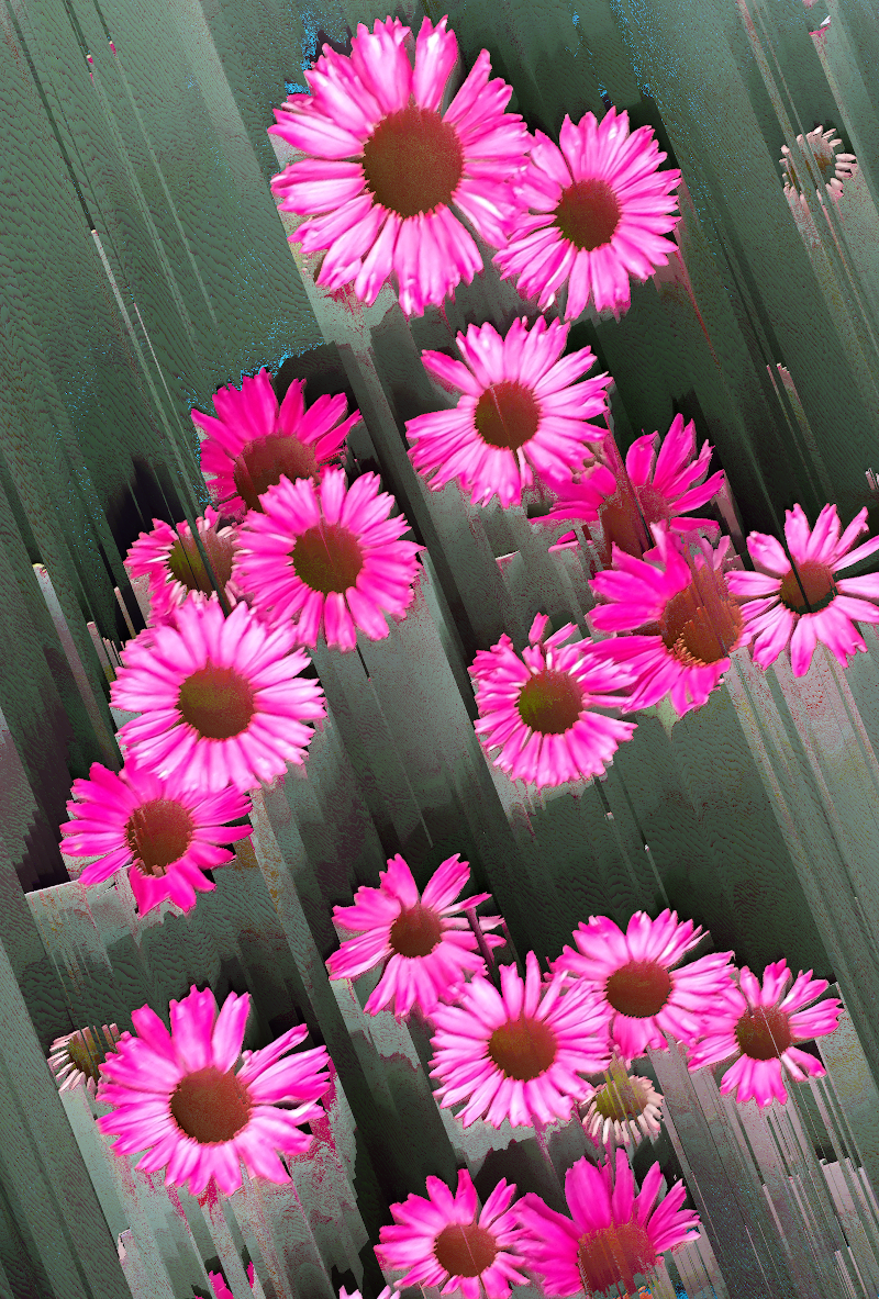 Flower 7