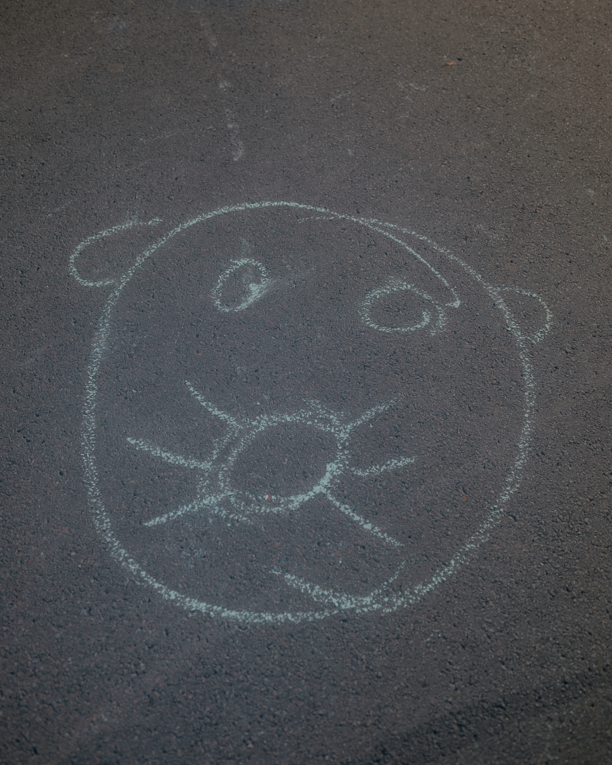 PhotoFilePhrens #29