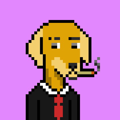ViralataFunk #1247