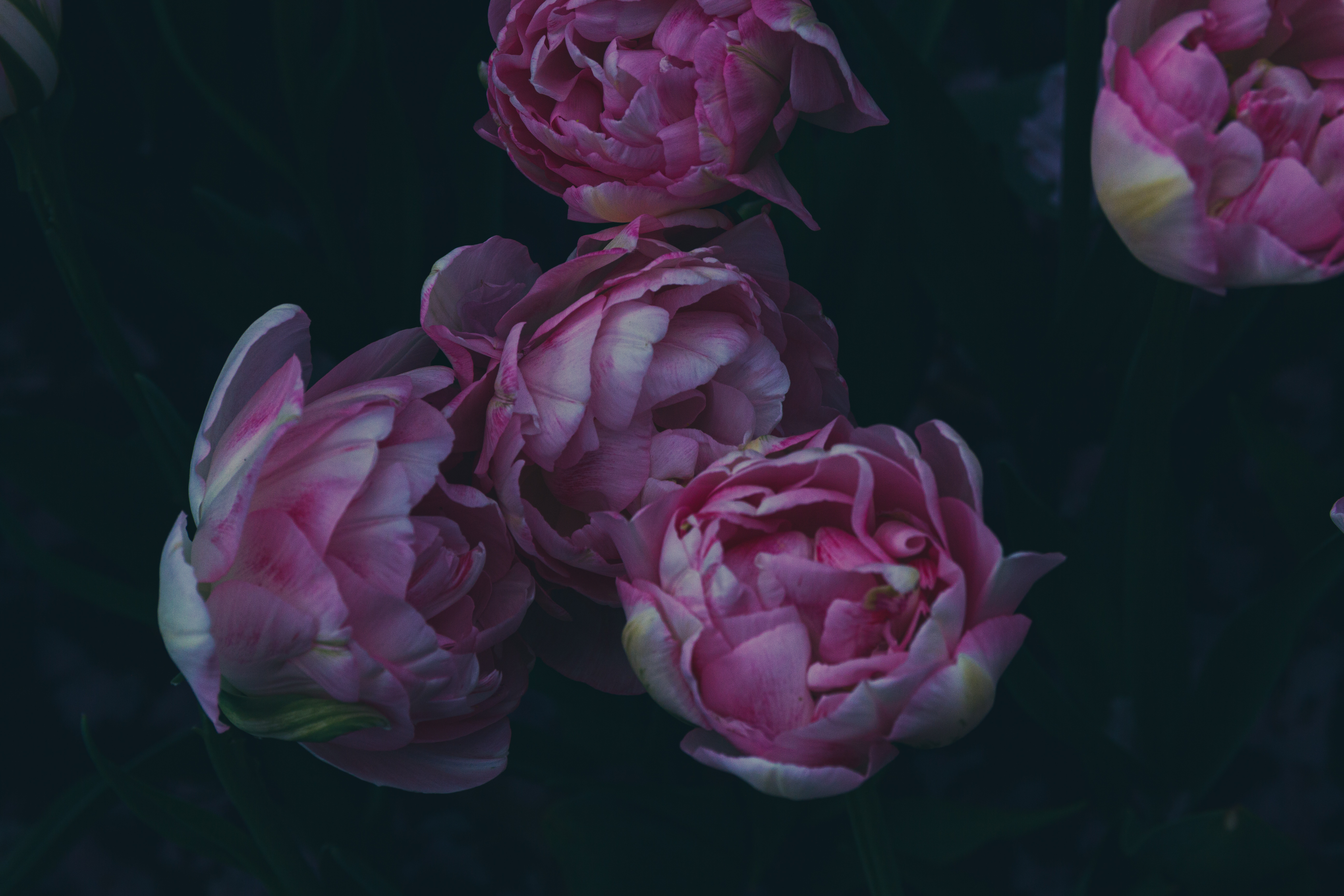 Muted