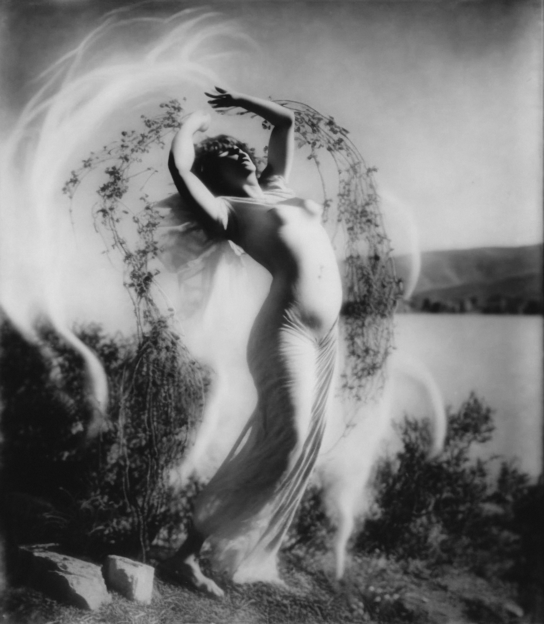 Grass, Silver Gelatin Print (developing-out-process), 1936