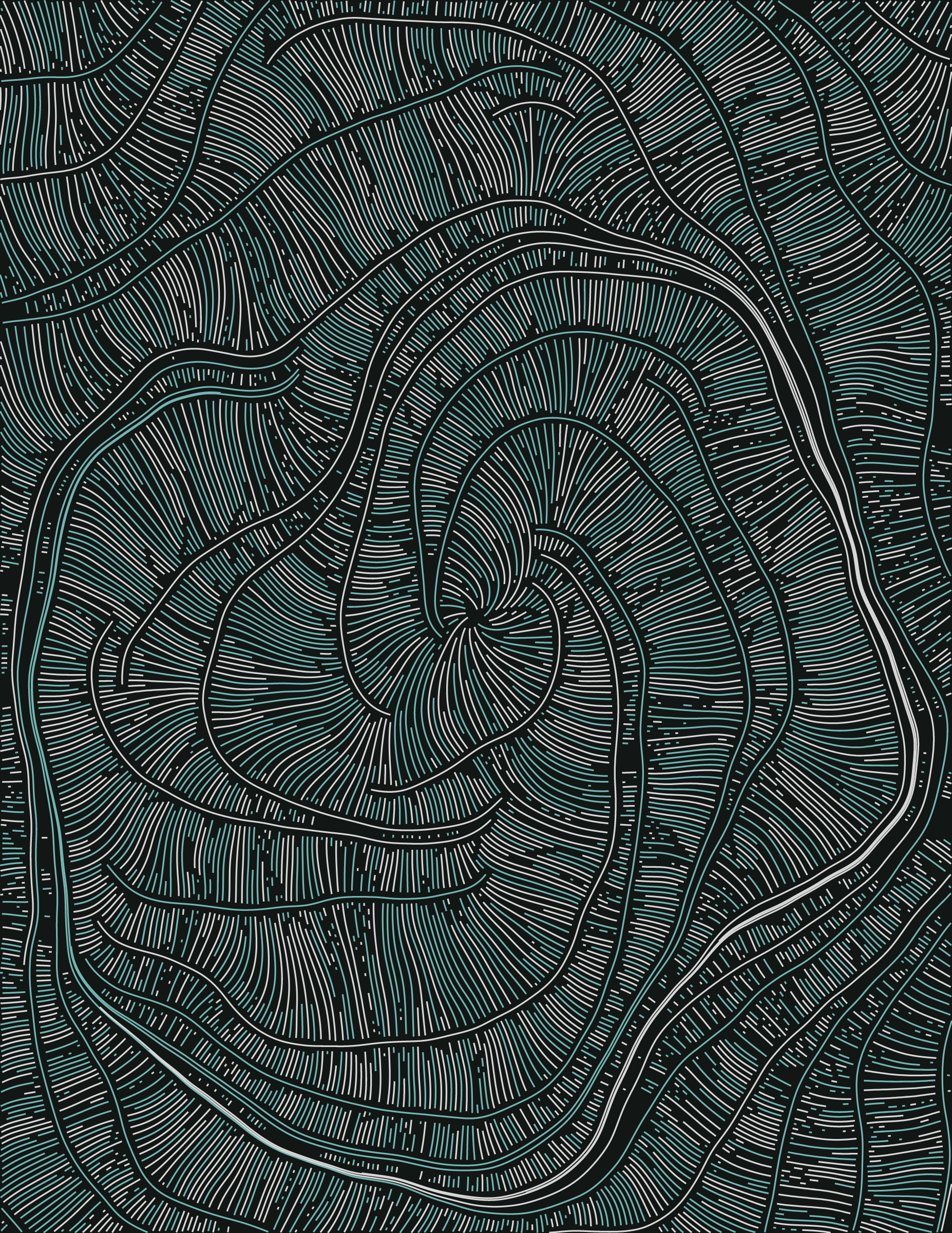Streamlines #190