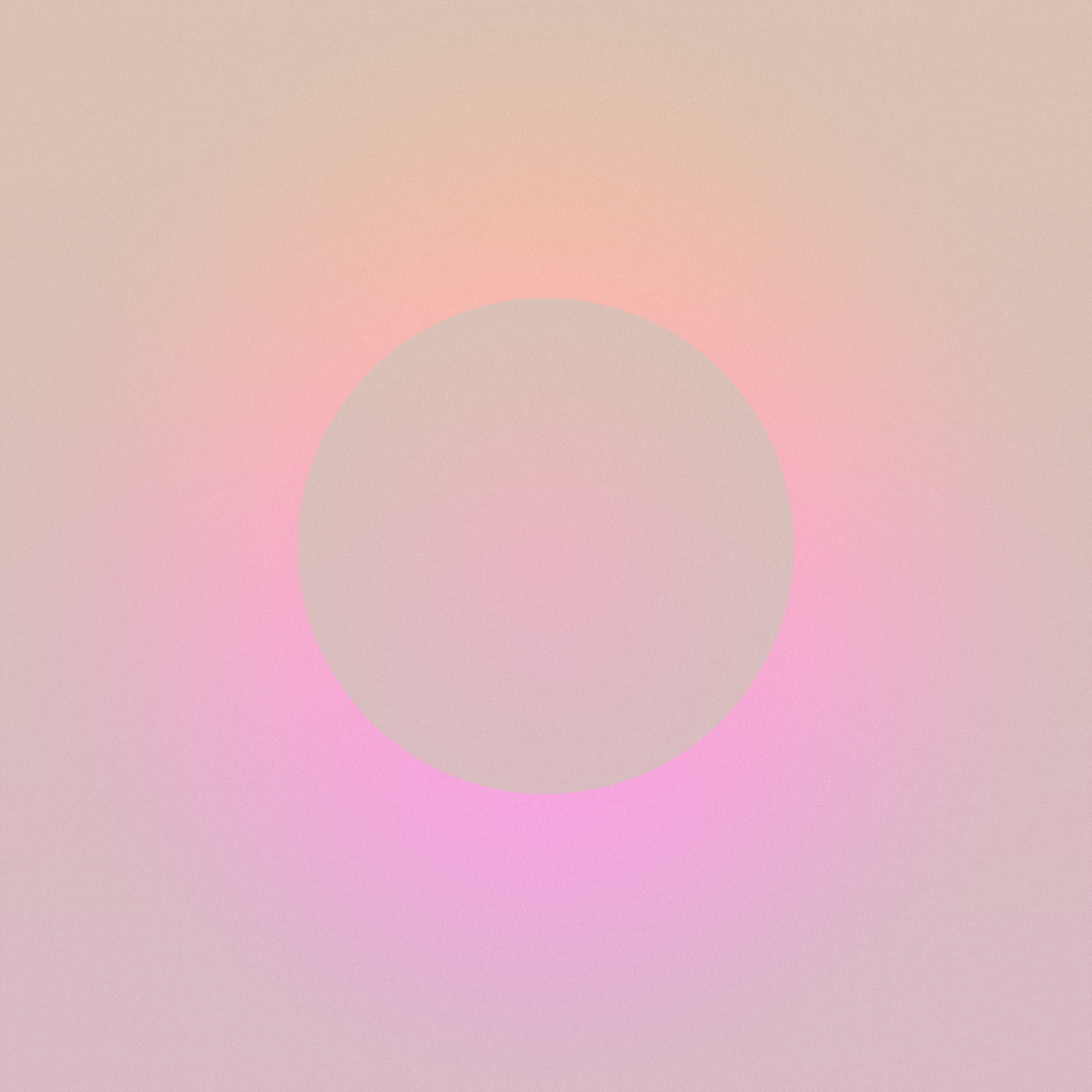 with the light 38