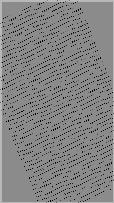 Monochrome Frames #331
