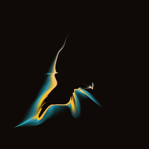 Vortex #1355