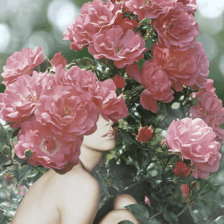 Secret Garden