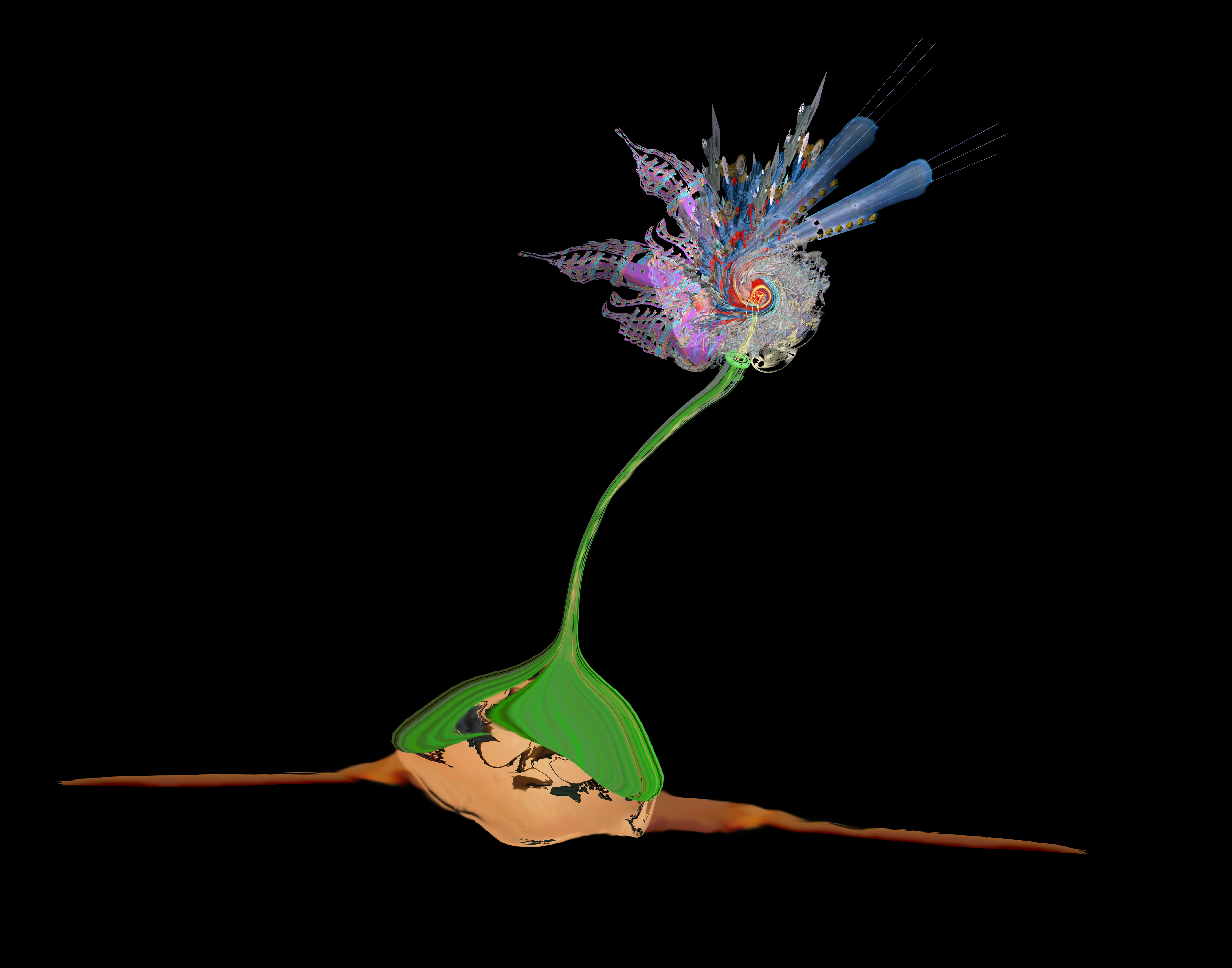 Flower 07