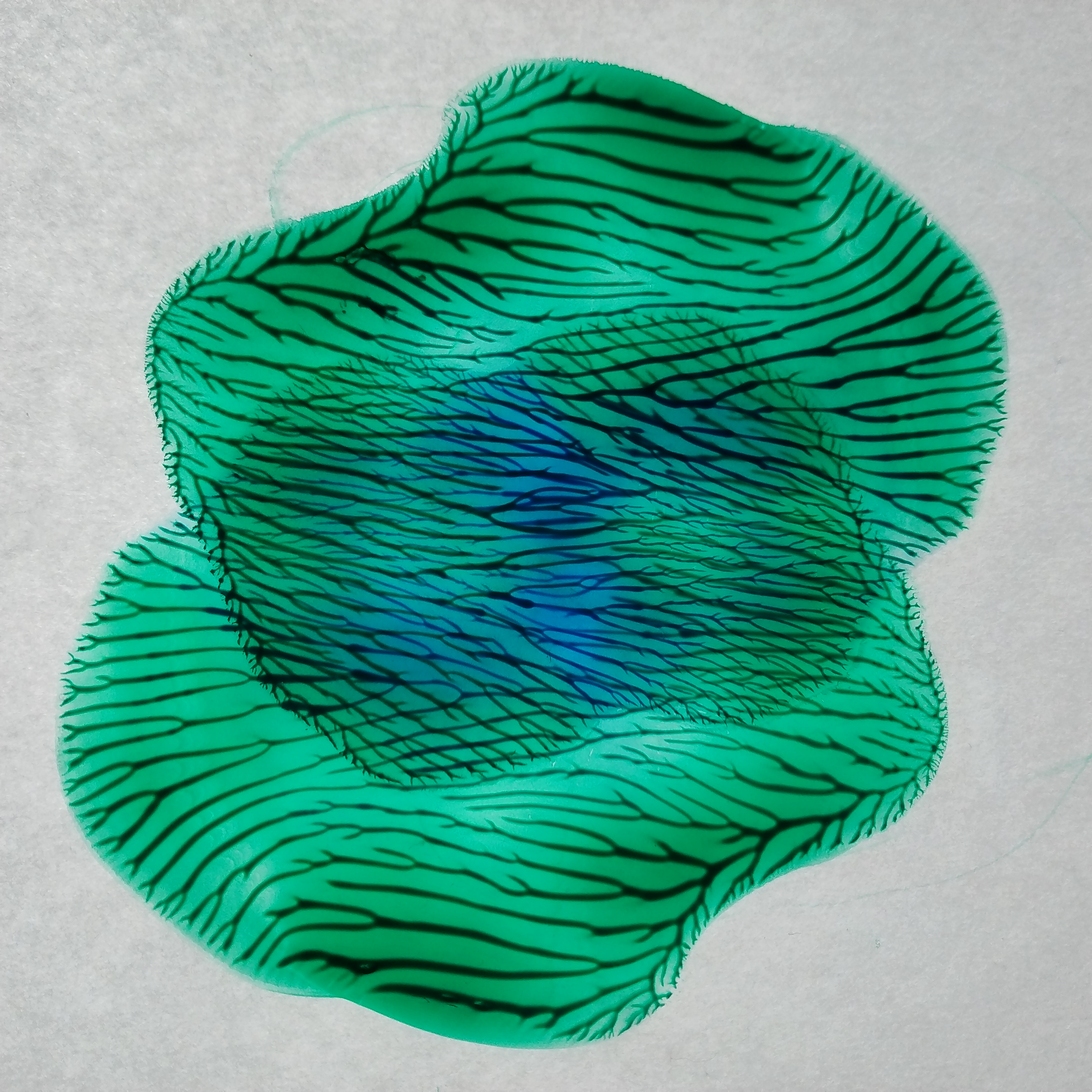 Viridian Heart