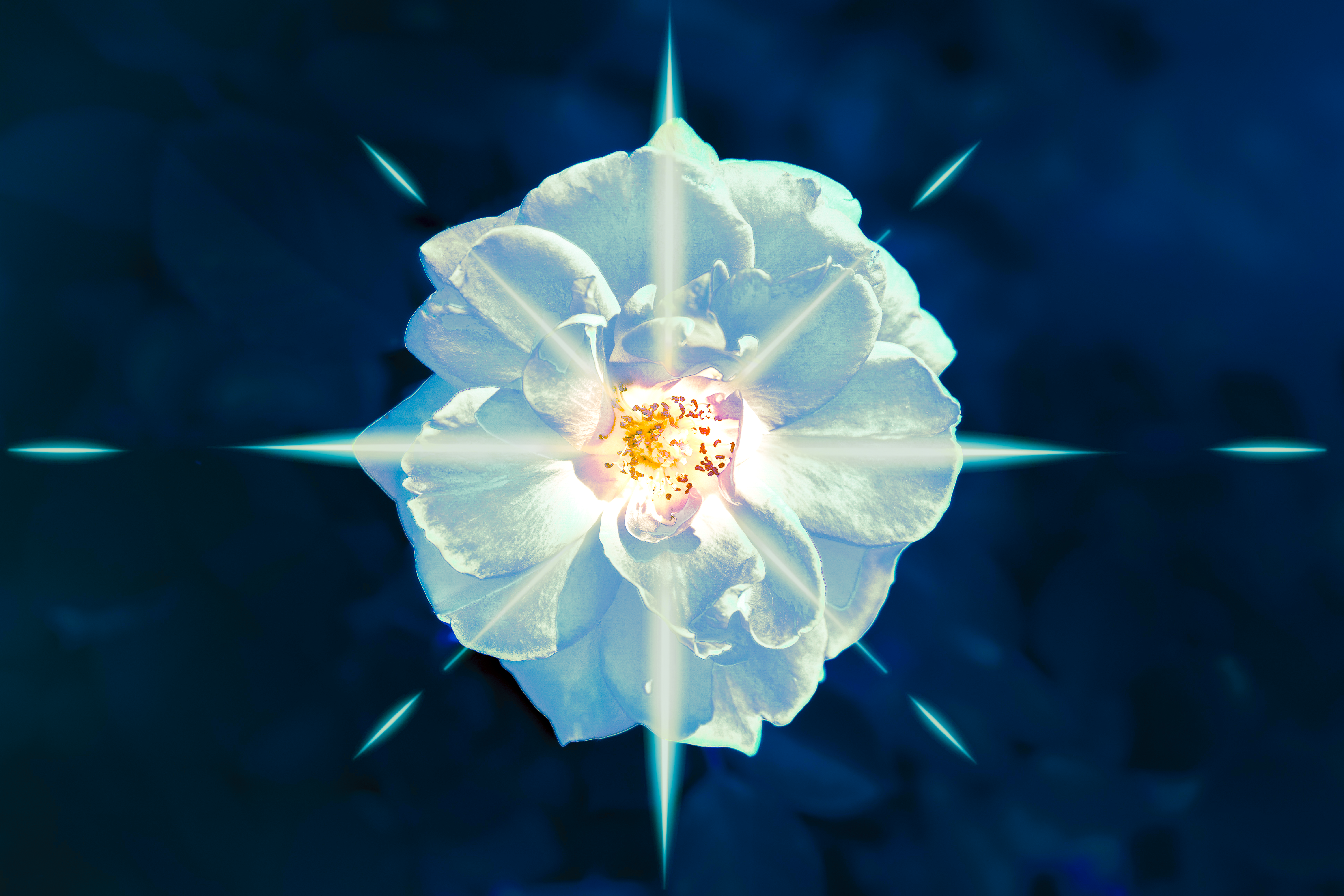 POLARIS