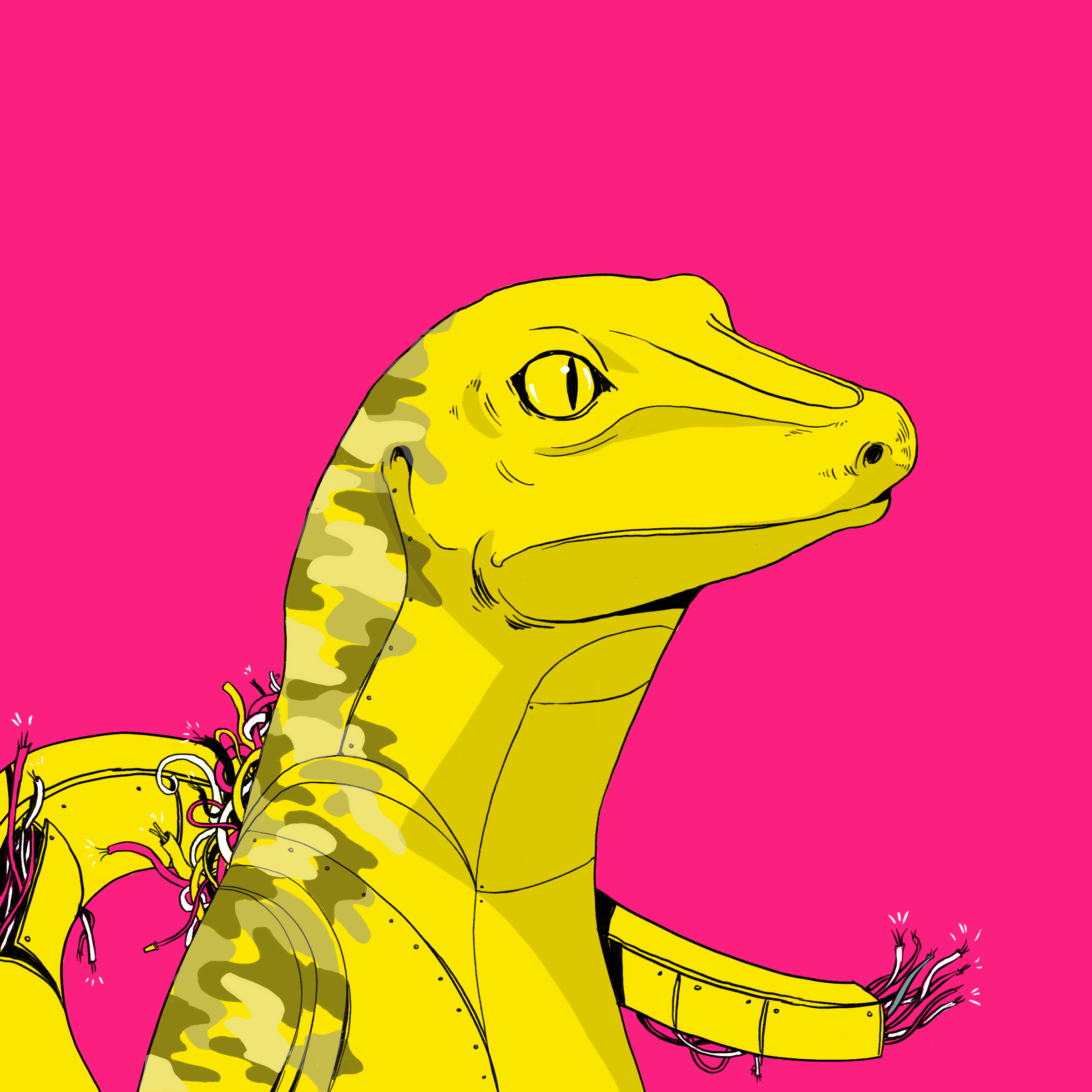 Lizard #3695