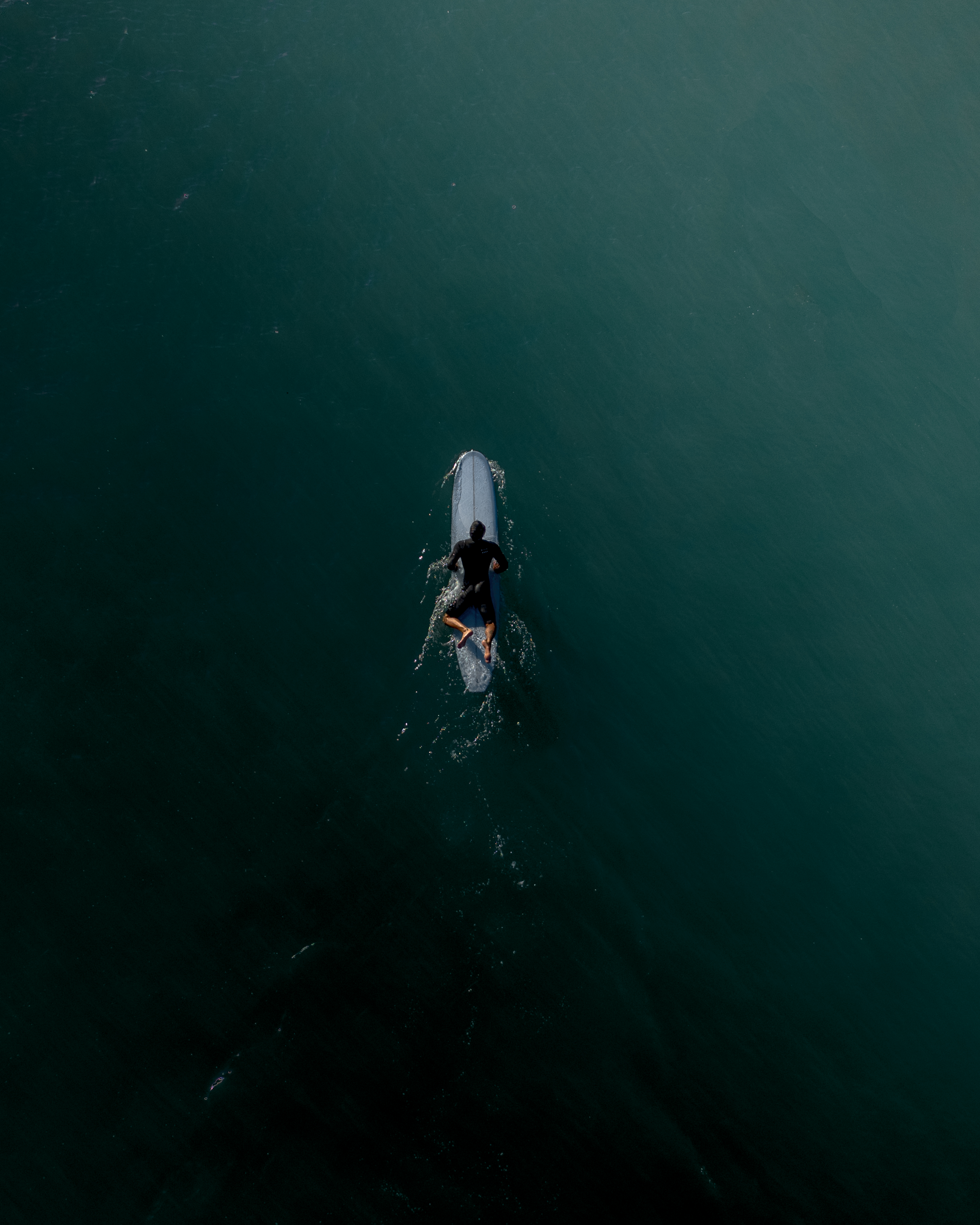 Lone Surfer