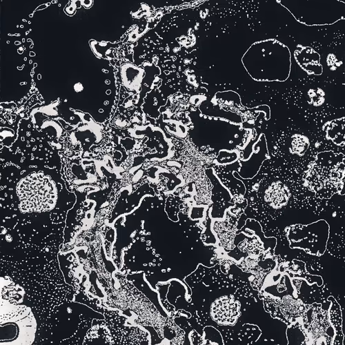 Water Studies #9