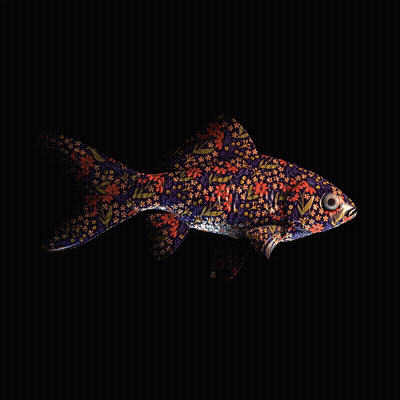 CryptoFish #2419