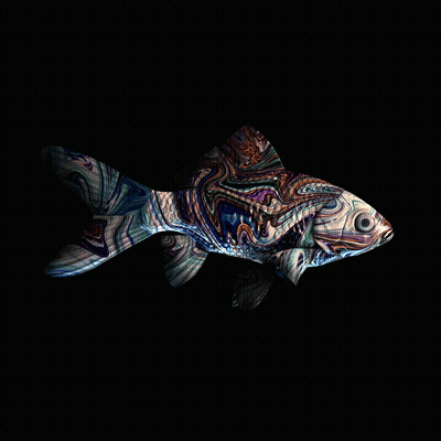 CryptoFish #2426