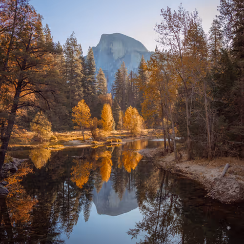 Reflections