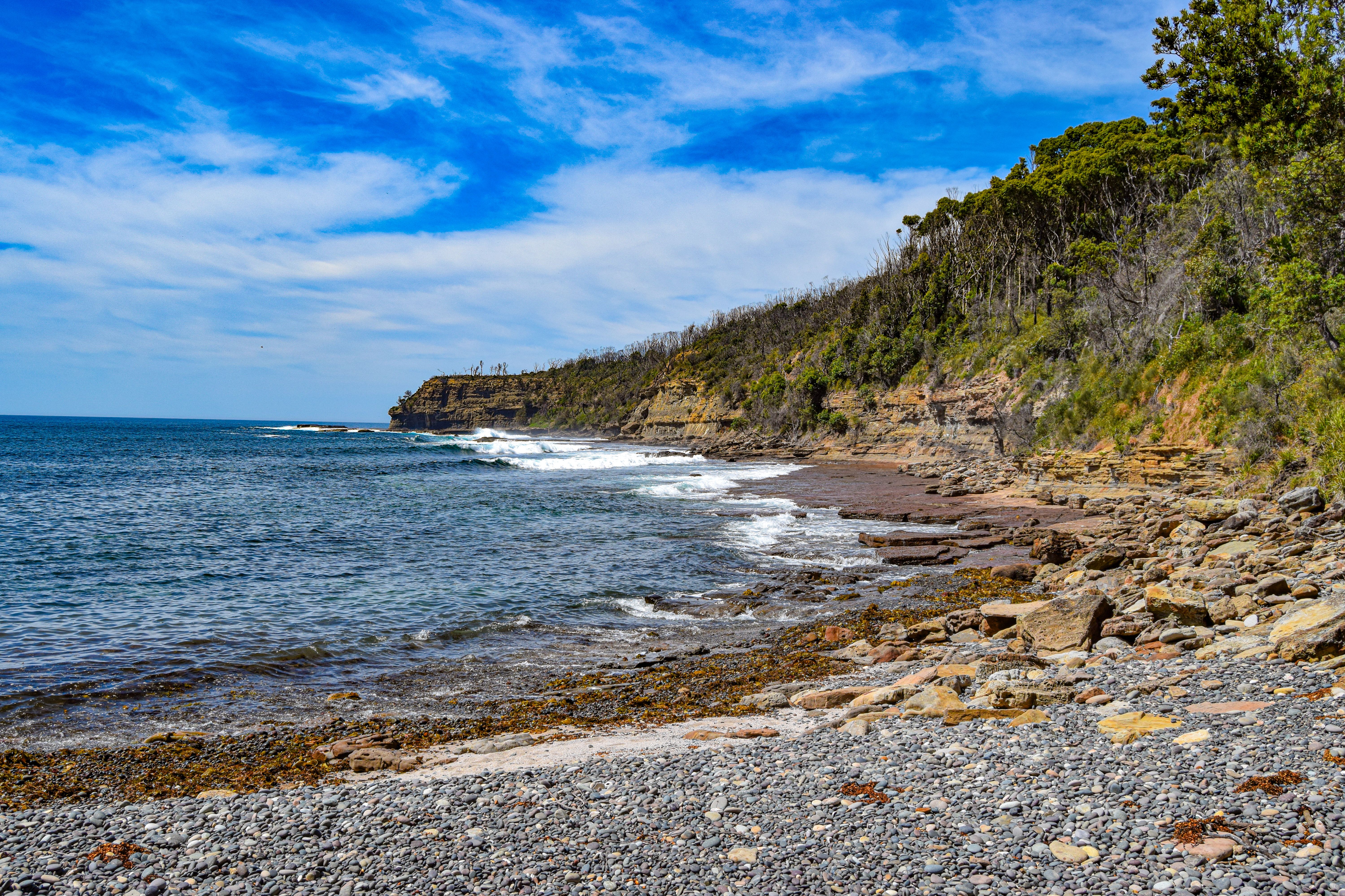 Wild Australia #4