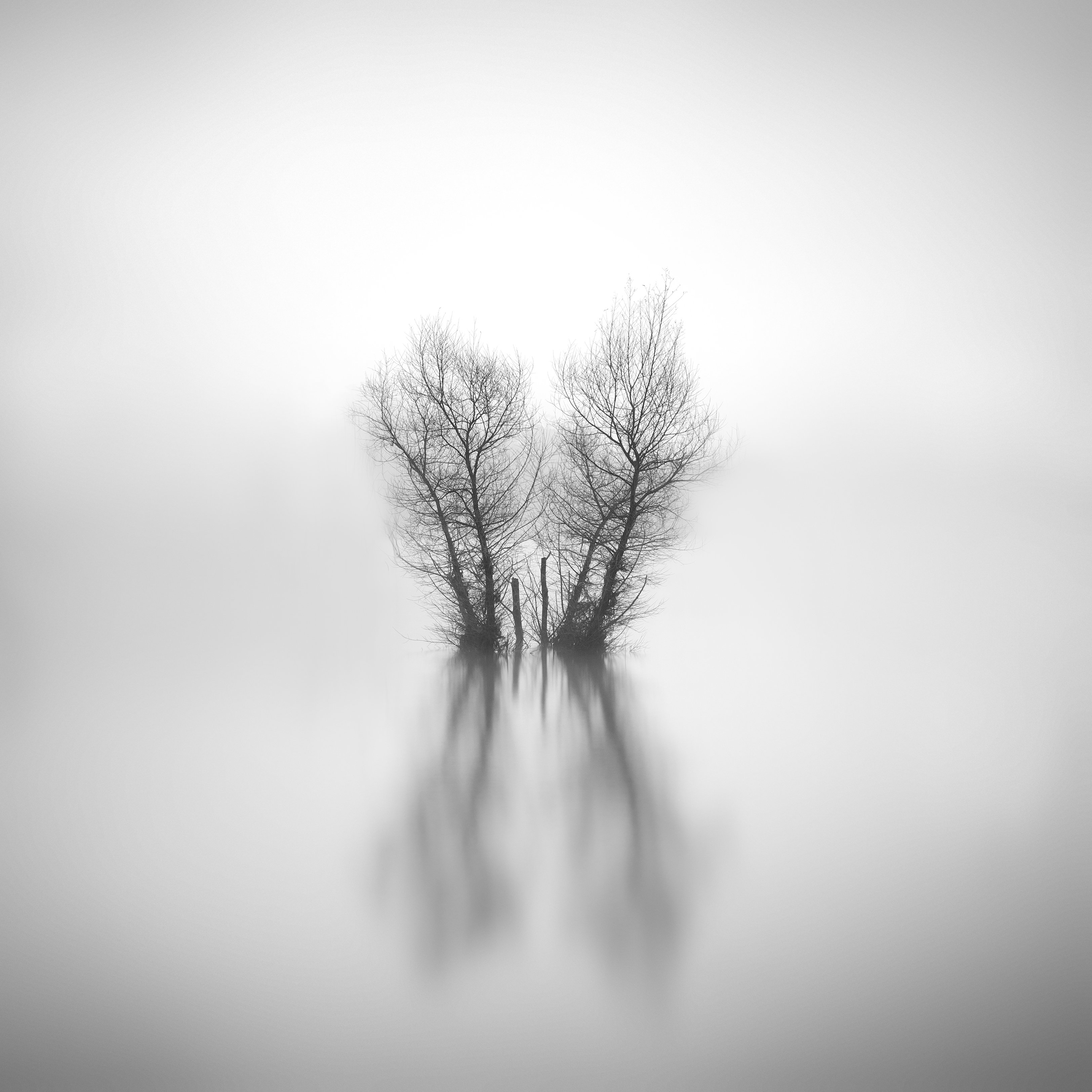 The Twins