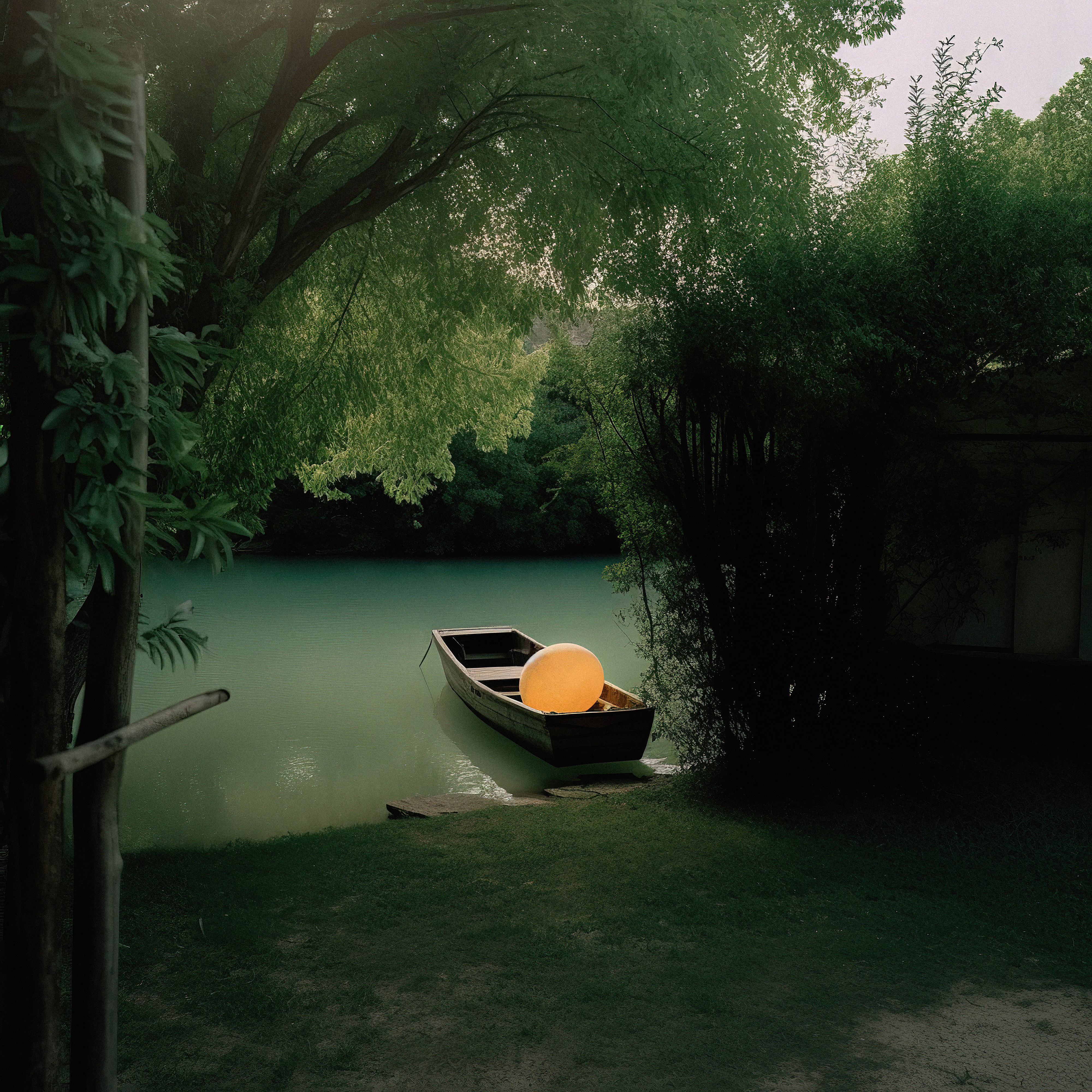 Haunted Garden I