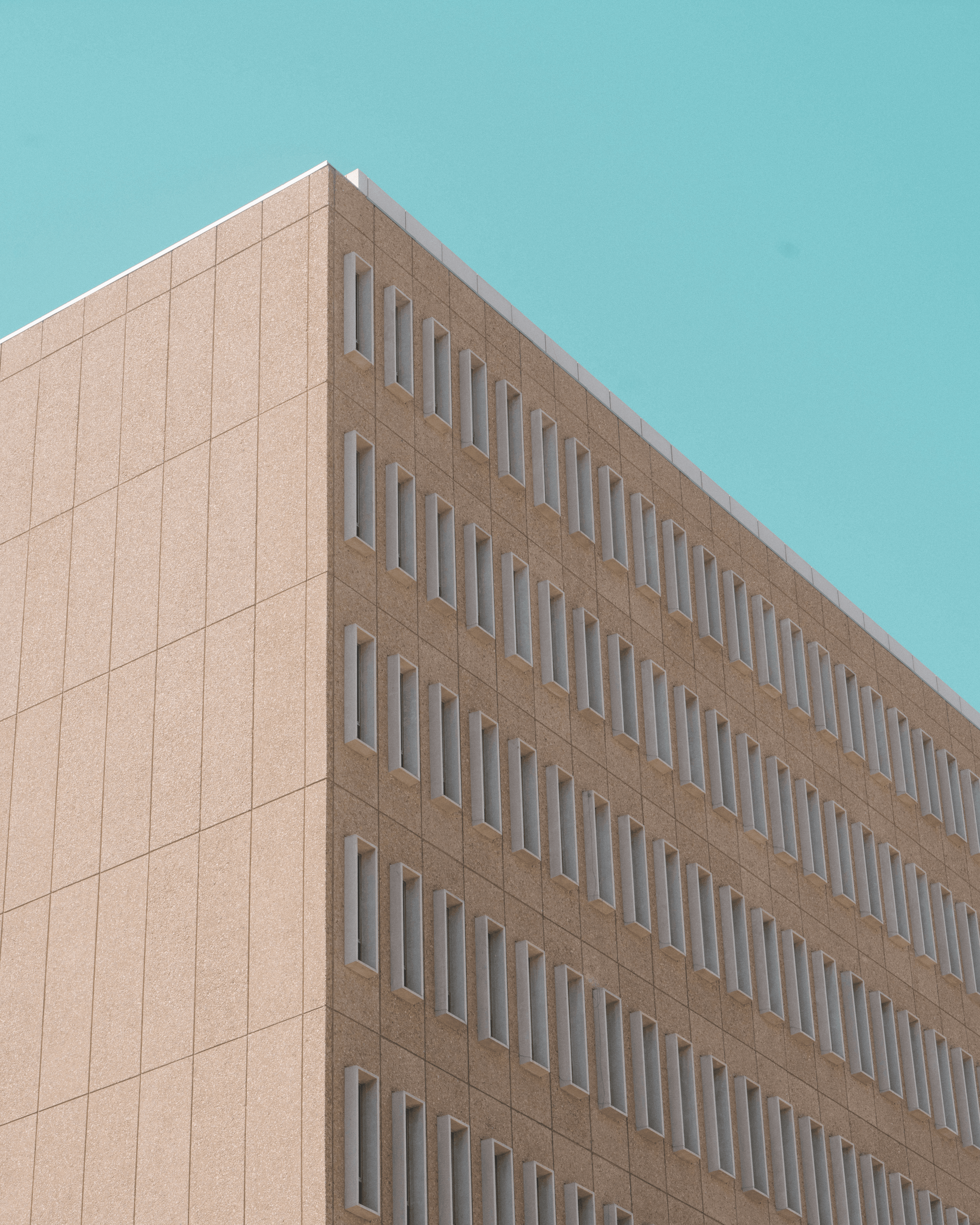 The Tower