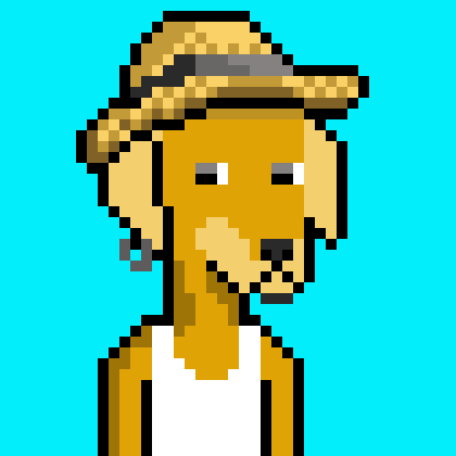ViralataFunk #3893