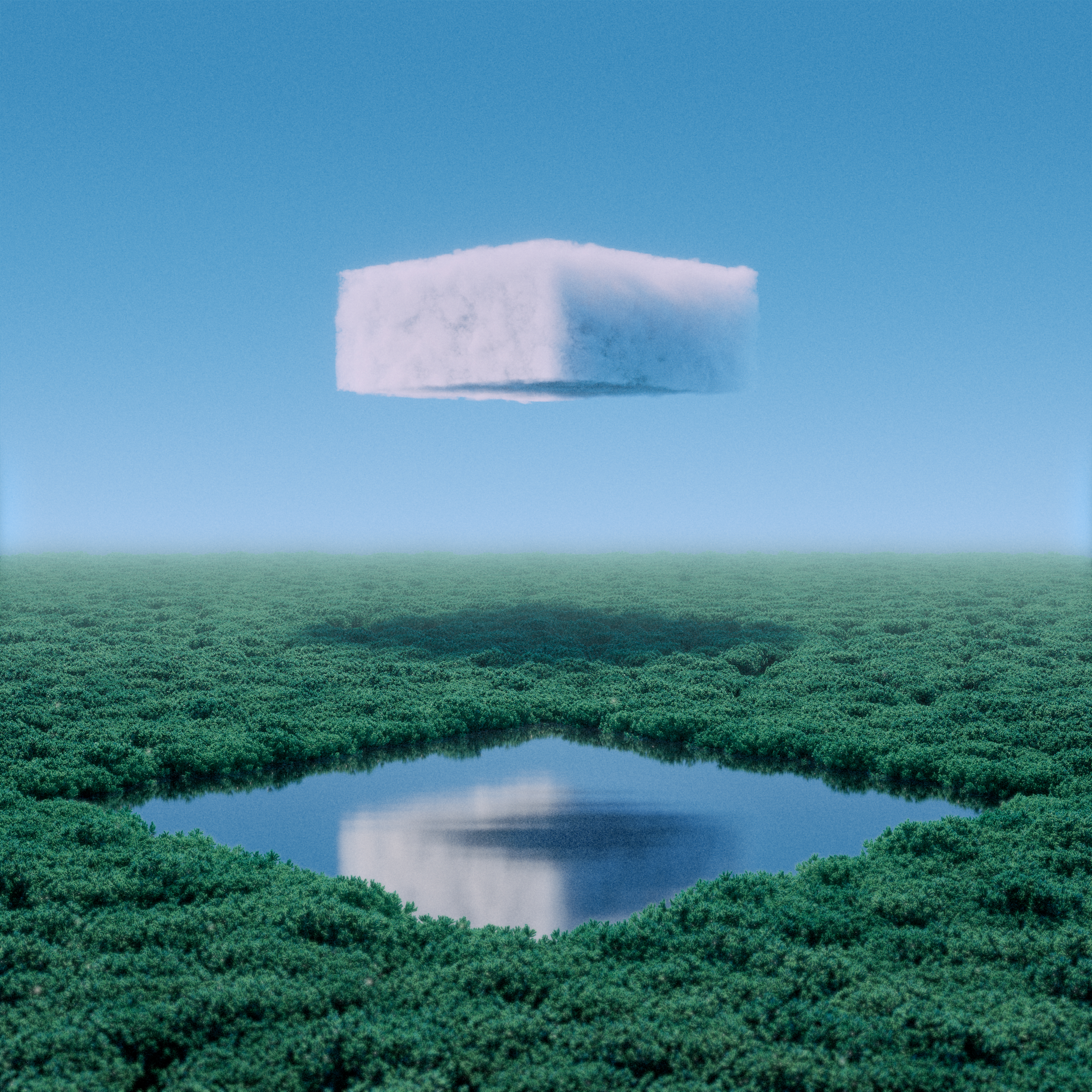 Forest Cube #10/10