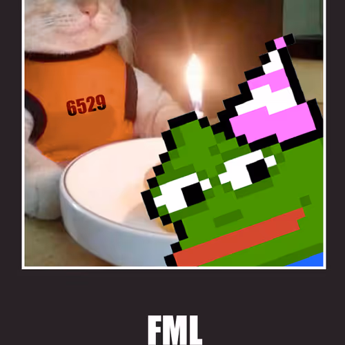 Fake Meme Life