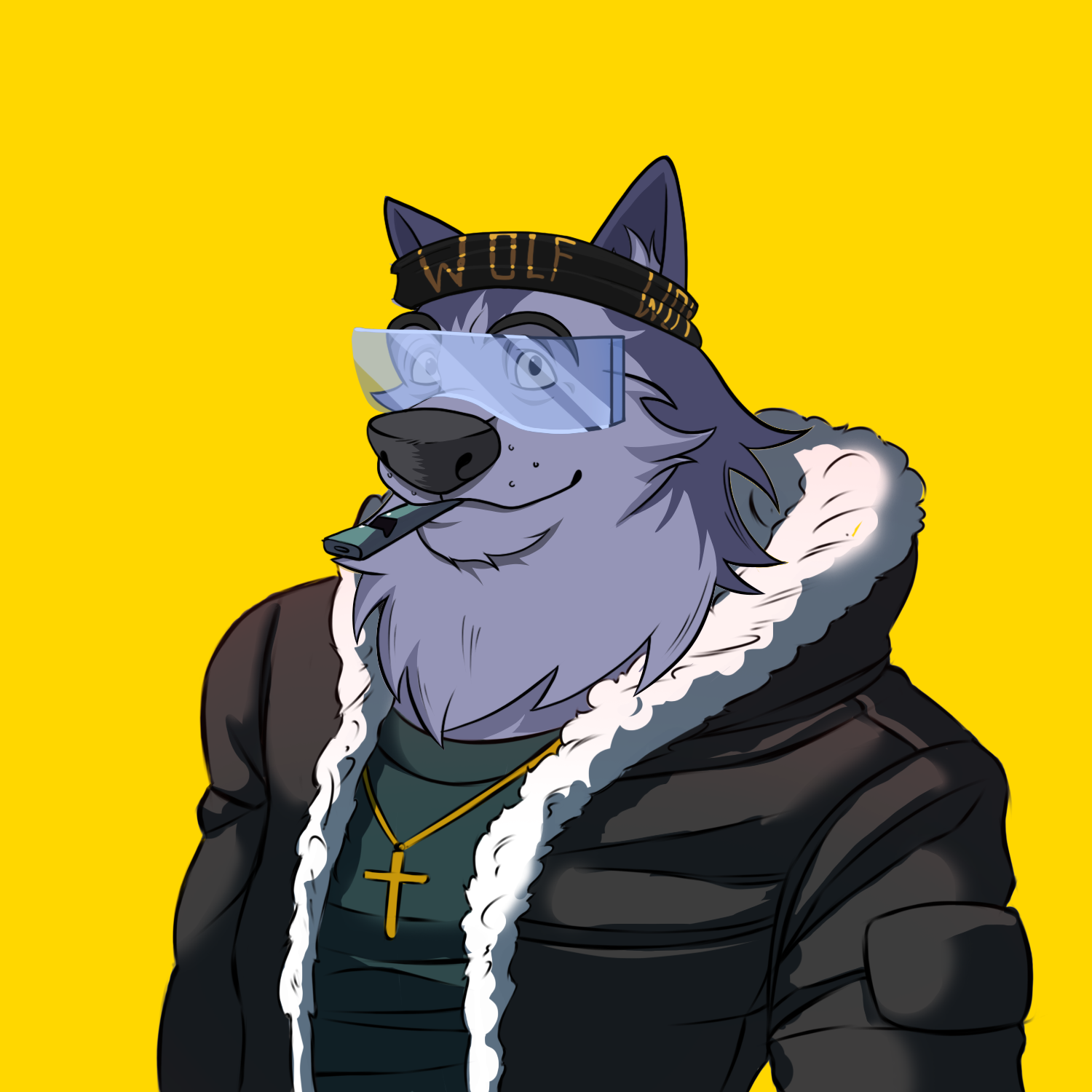 0xWolfgang #3026