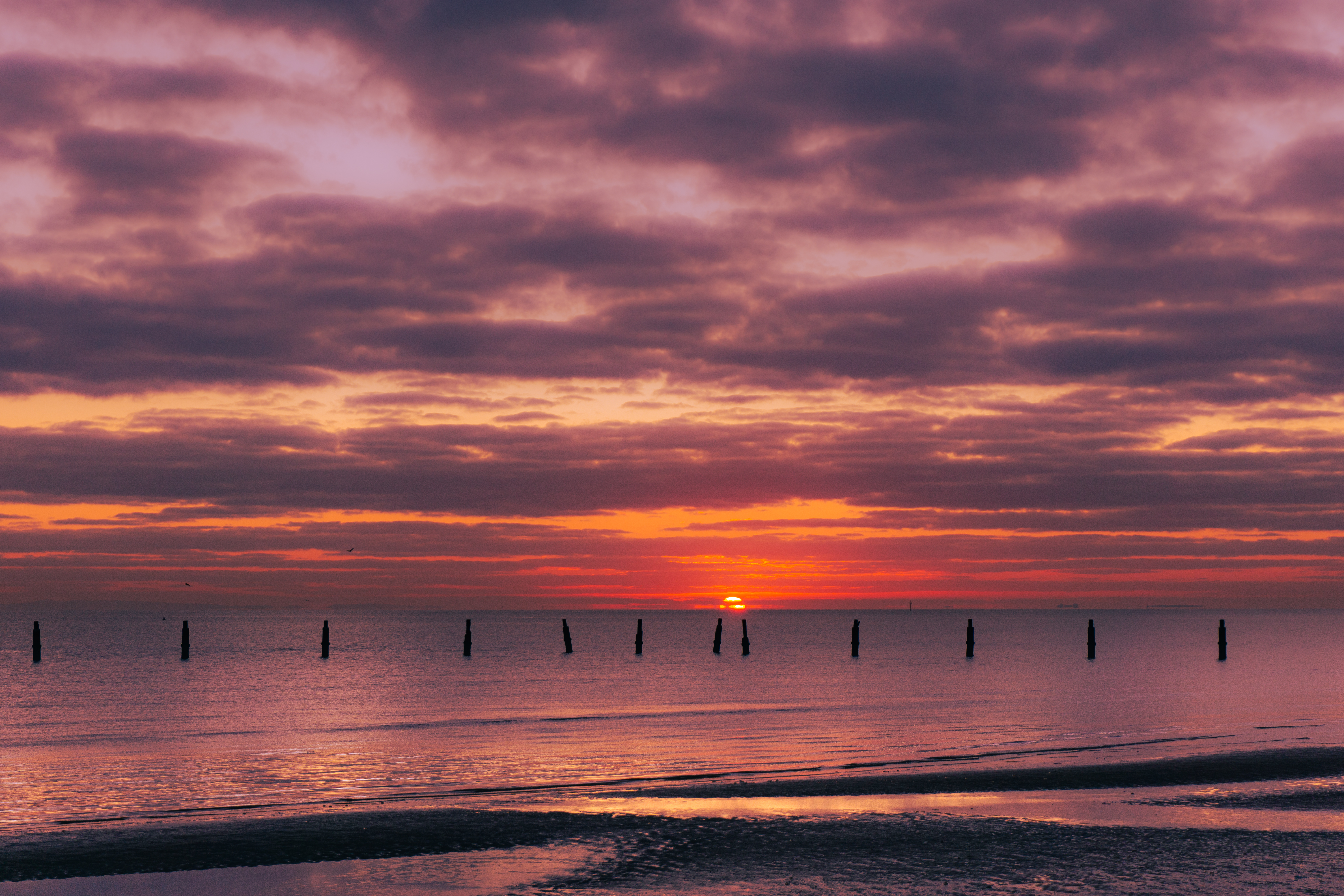 The new Dawn
