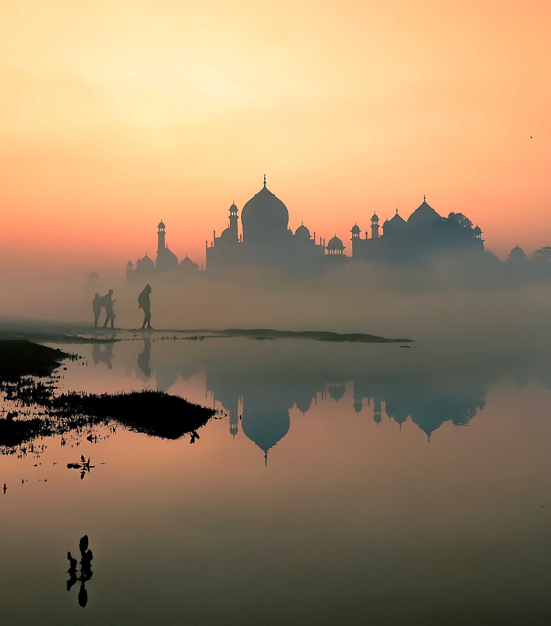 Wander to Wonder